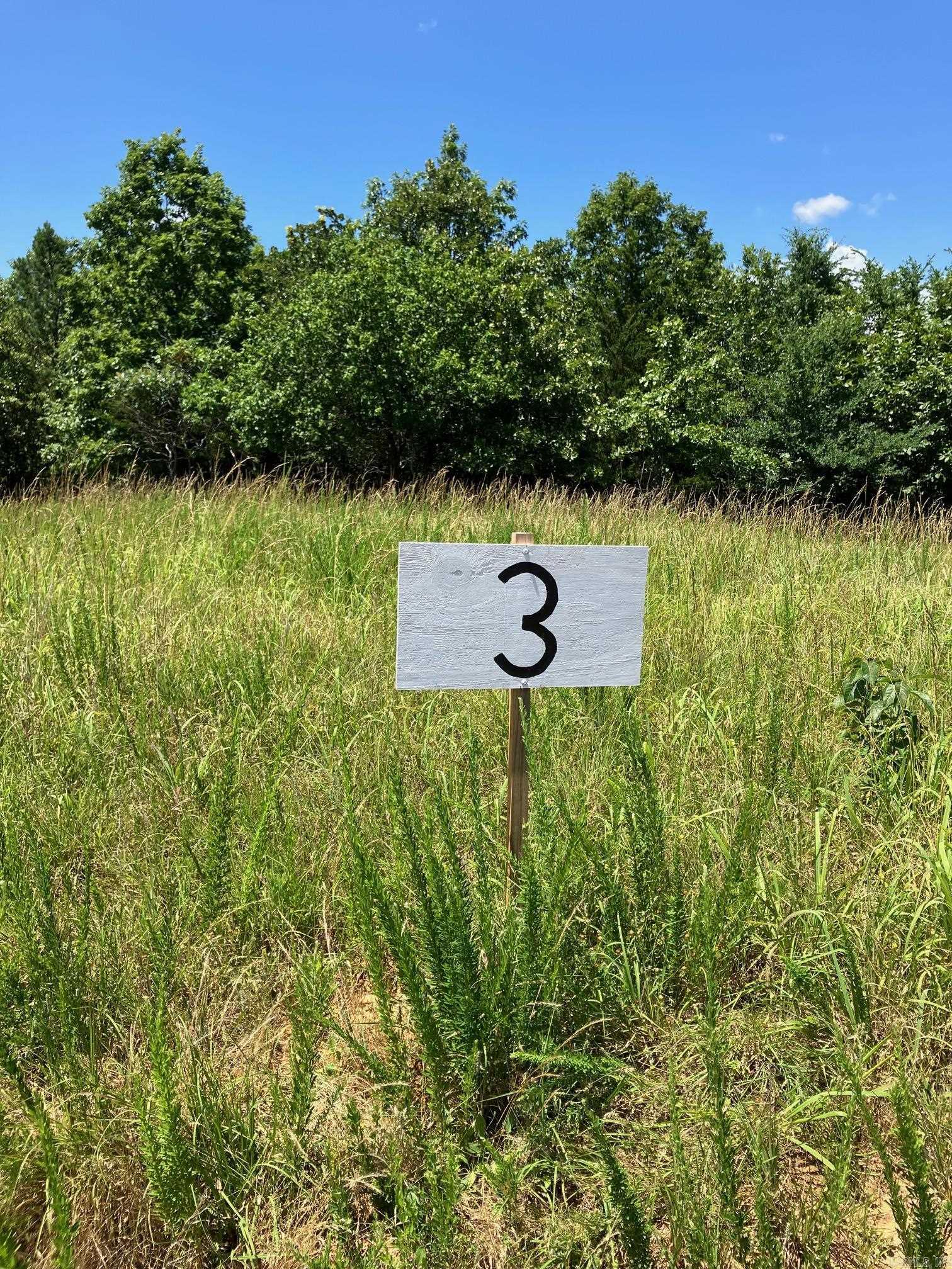 Tract 3 - 3 acre parcel has a home/cabin site is tucked into the trees behind the grassy entry area so it still feels exceptionally private with easy access. Nice fairly level area will make fabulous spot for a home/cabin site, but with enough trees to shield from the private lane and the building sites on the tracts to the left and right of it. Many nice trees that could stay, others could be thinned to open up a view both north and south. Very close to the Ouachita Forest trails. Can ride an ATV all the way to Wolf Pen Gap Trail System. See map in pictures. Survey has been completed. This lot is in a location that is quiet and peaceful yet only 7.7 miles to Mena, AR. Septic system and well is needed. Each lot was carefully laid out to give each site areas of trees/draws between the sites making each feel like your own forested oasis. These lots are in a location that would make really amazing sites to build a weekend cabin or a full time residence and at a price that is hard to beat. Tracts 4 and 5 both perc tested for standard septic systems. Restrictions allow modular/prebuilt homes >400sf affixed to a permanent foundation.