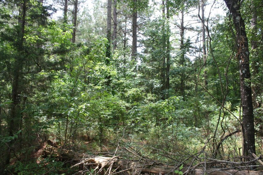 Approx. 71 acres (Pine Planation).  Highway 278 W. and Hemsptead 313 frontage. Utilities available.