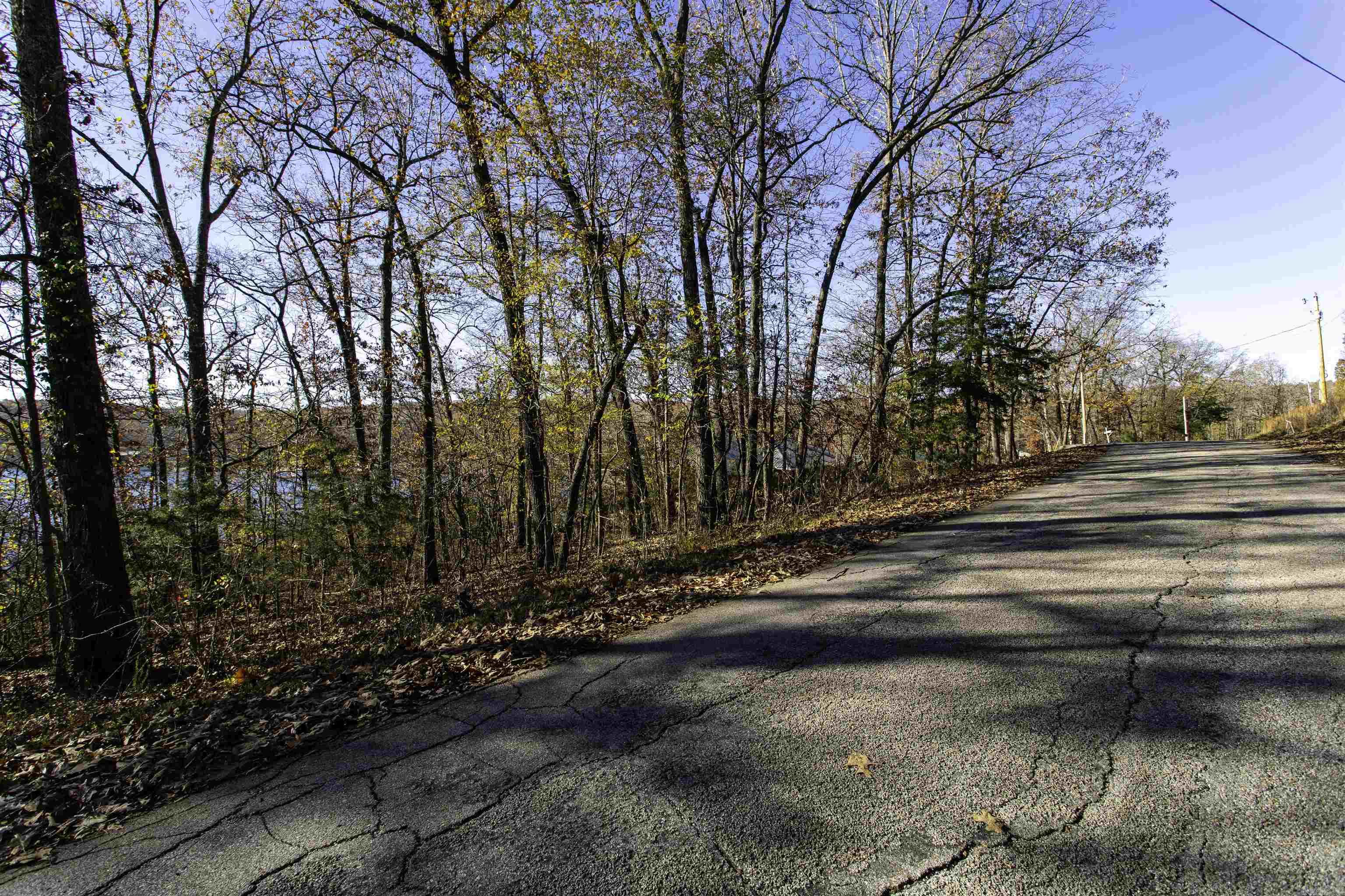 Vagabond Heights - Land