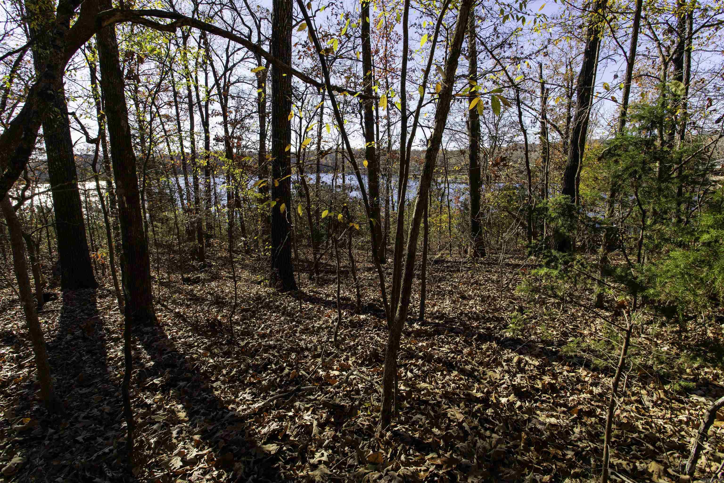 Vagabond Heights - Land