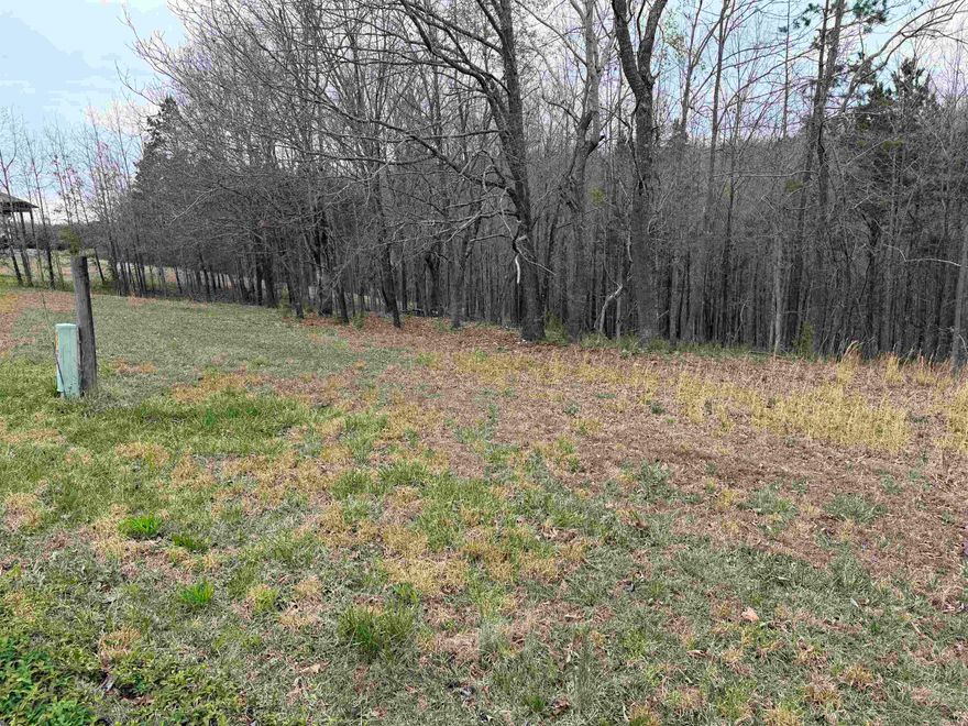 Beautiful 0.94-acre lot located in one of Mountain View’s newer golf course subdivisions, inside city limits. This property offers a quiet setting and an excellent location to build your dream home, surrounded by quality homes and a well-maintained community. An adjoining lot is available, providing flexibility for a larger homesite or added privacy. Enjoy the convenience of being close to town, the golf course, and all that Mountain View has to offer.