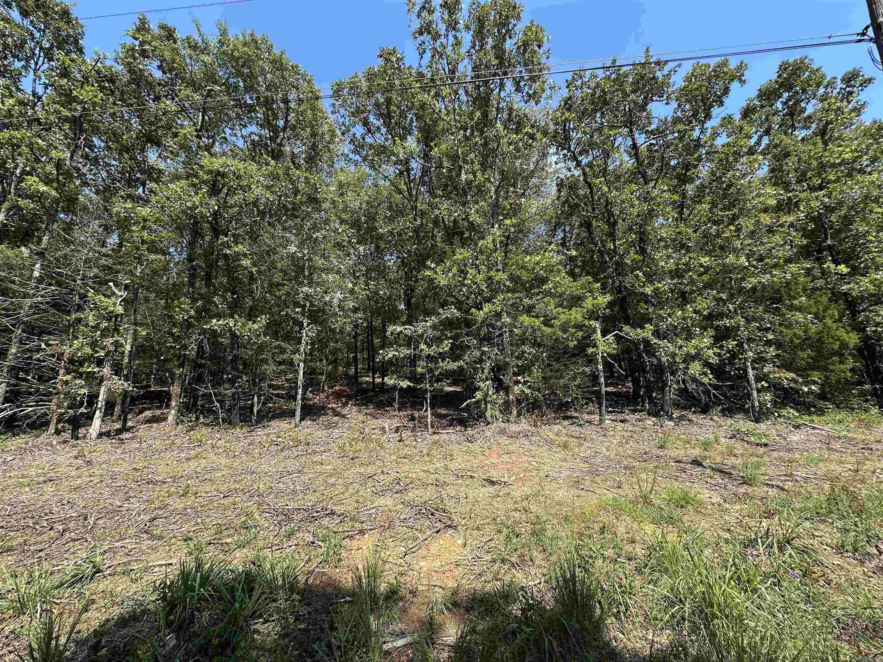 Looking for a place to build your dream home? Take a look at this large 1 acre lot with utilities conveniently located at the front by the road. large lots are a rare find in the area and there are two available if you are interested in more privacy or want more acreage. Call for more details