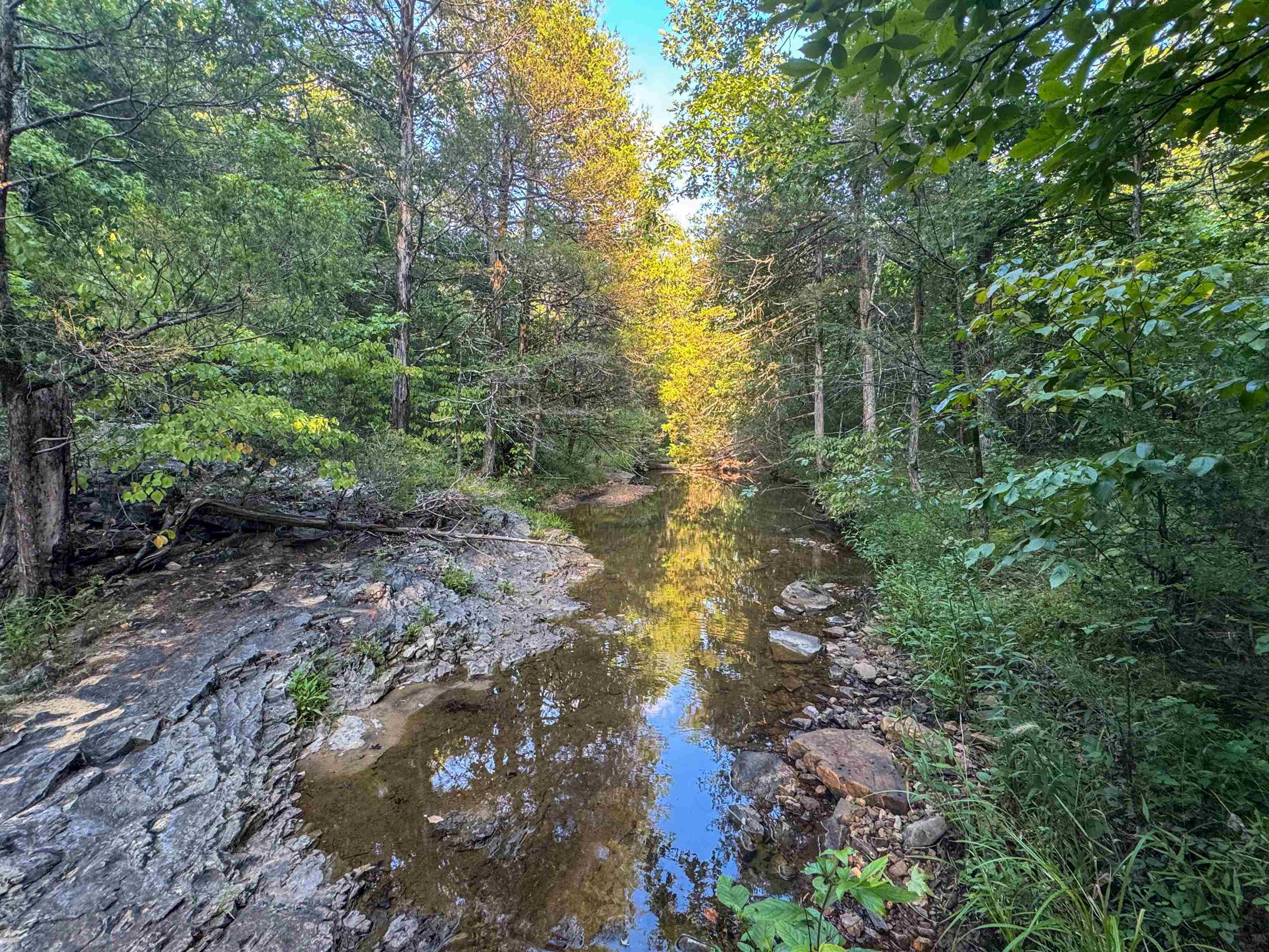 Metes & Bounds - Land