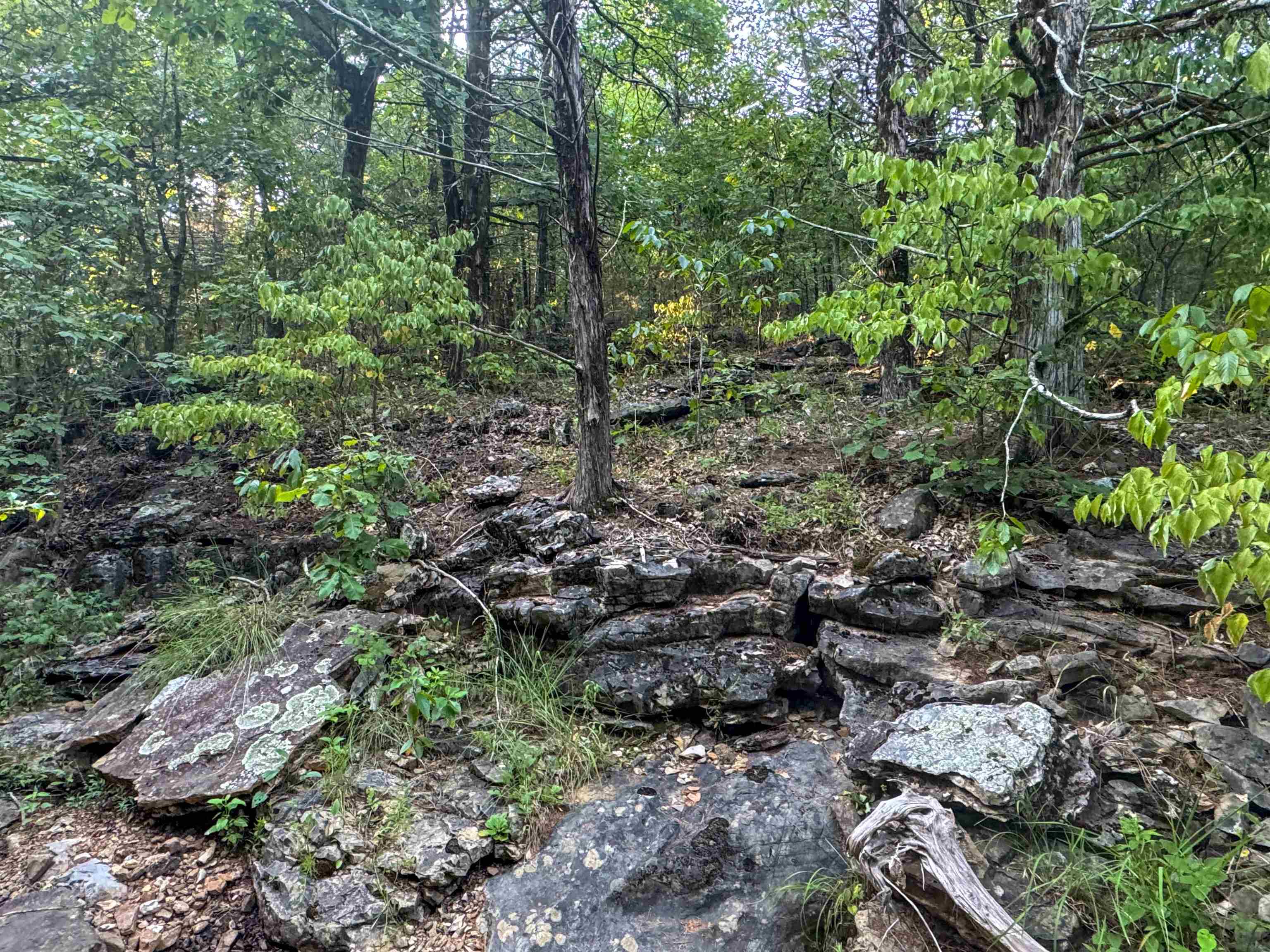 Metes & Bounds - Land