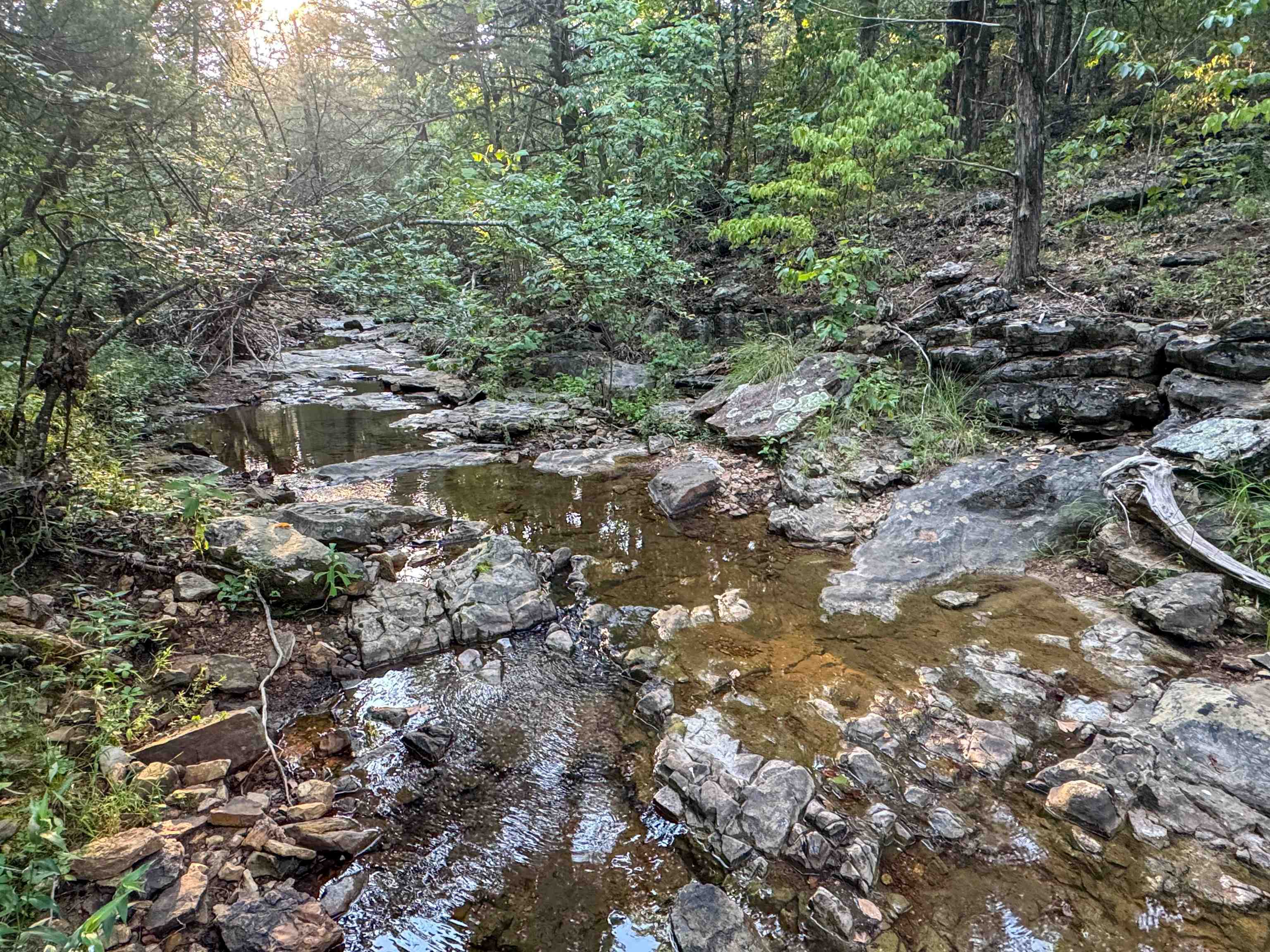 Metes & Bounds - Land