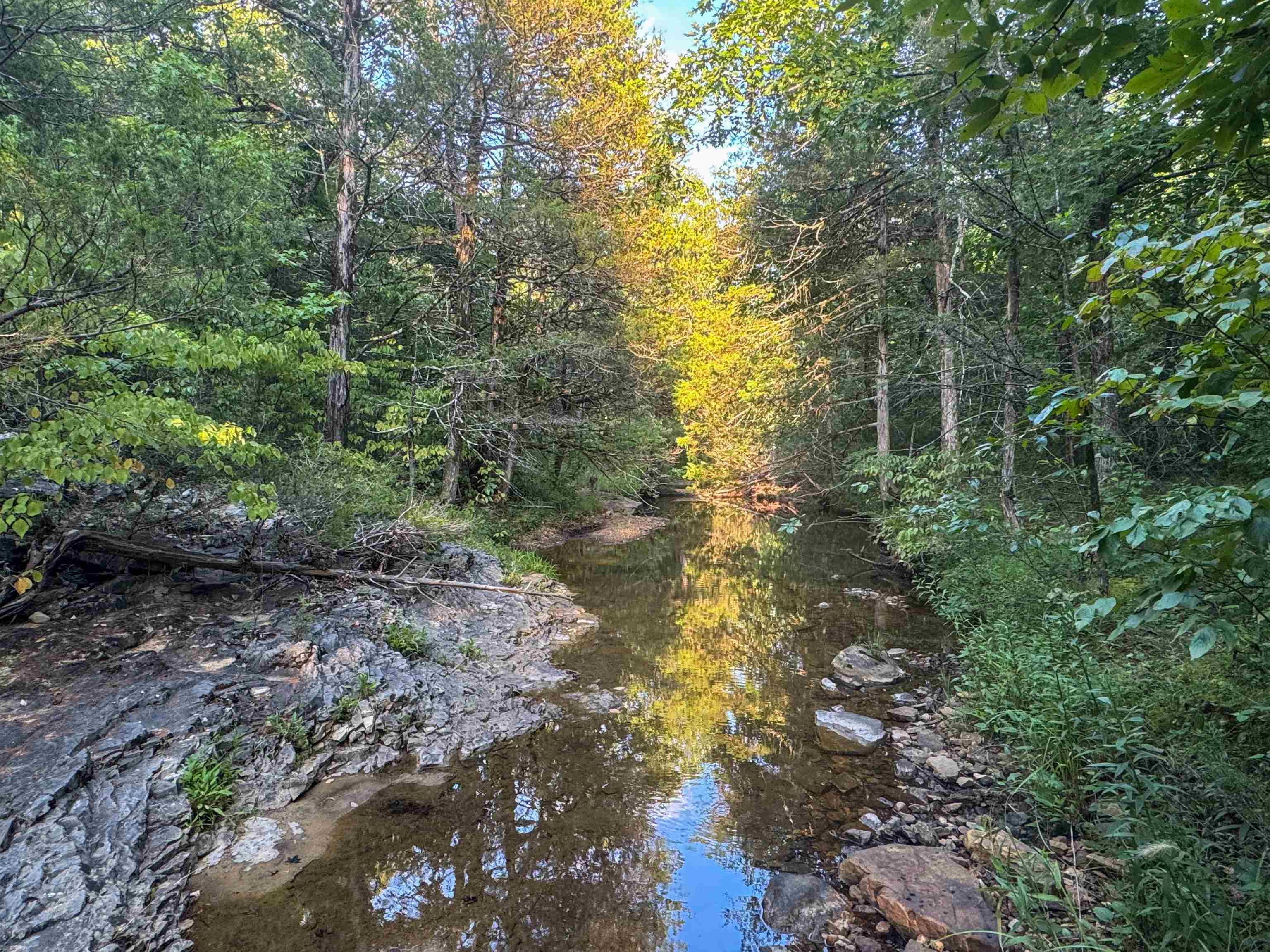 Metes & Bounds - Land