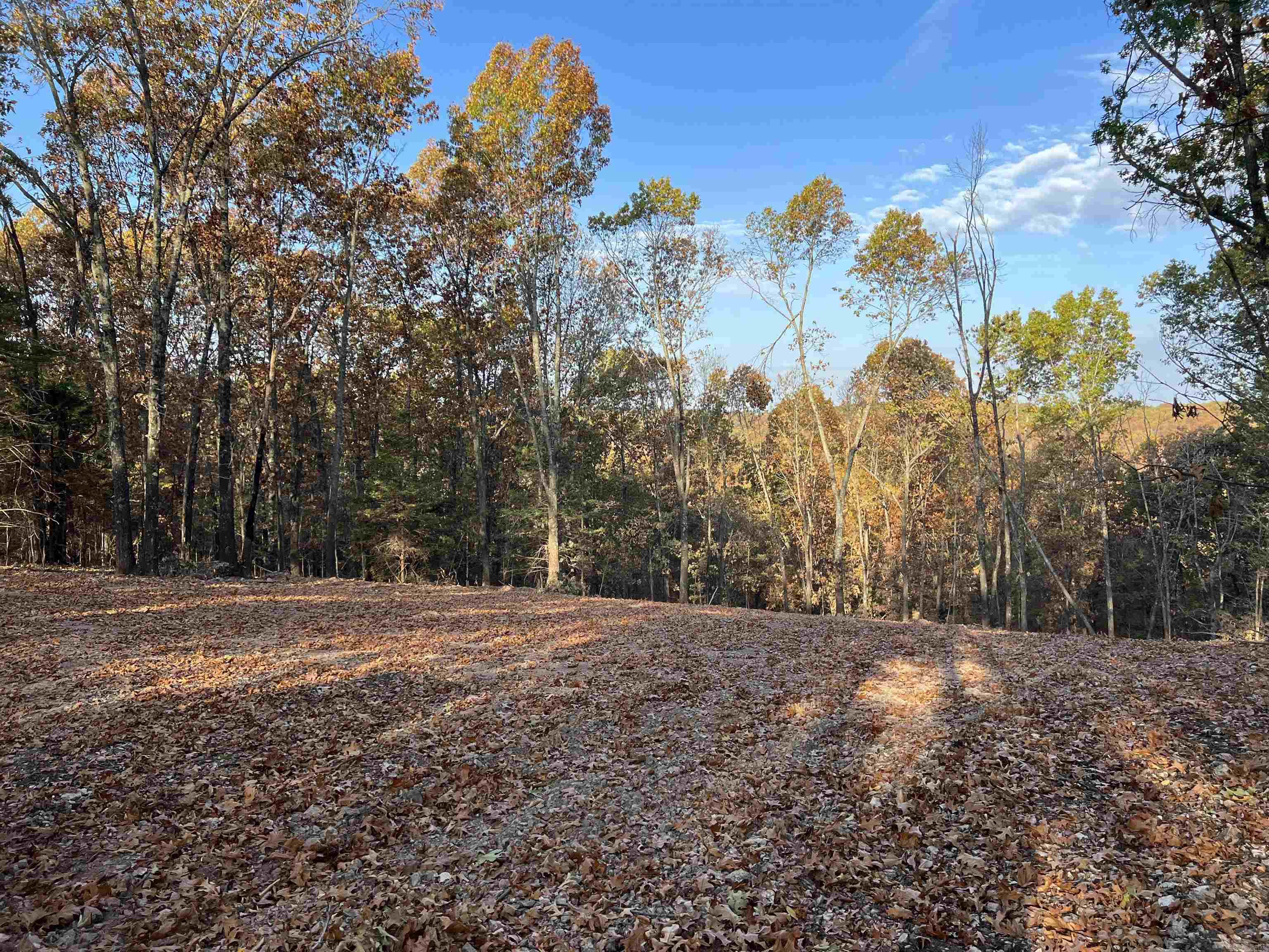 Nice View that could be bigger with some clearing. The property features a level secluded building site with lots of hardwood trees, no property restrictions, and electric is available. Call today to schedule a showing.