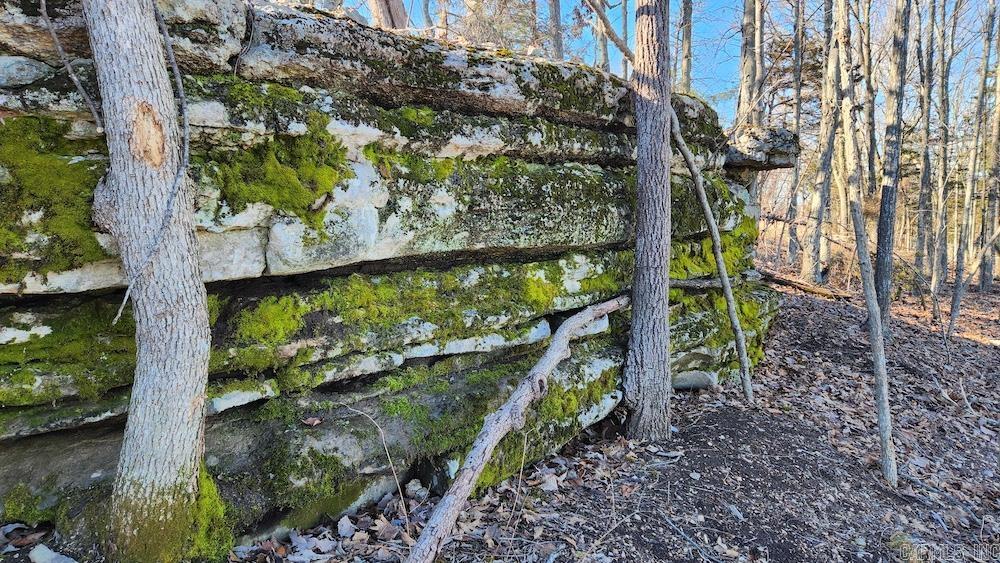 Not in Subdivision - Land