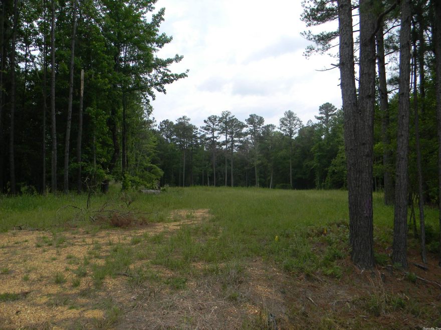 Lot on Bradley street is partially cleared and the rest is wooded.  Room for multiple house sites. Has been surveyed. Access to city water, sewer and natural gas.. Excellent location, inside city limits but country setting.
