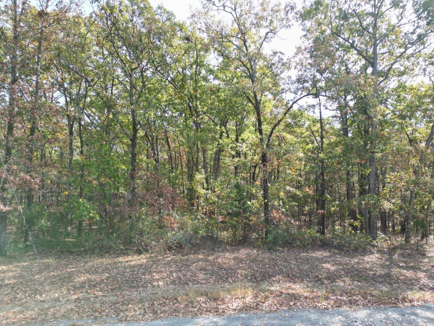 White Oak Forest Estates - Land