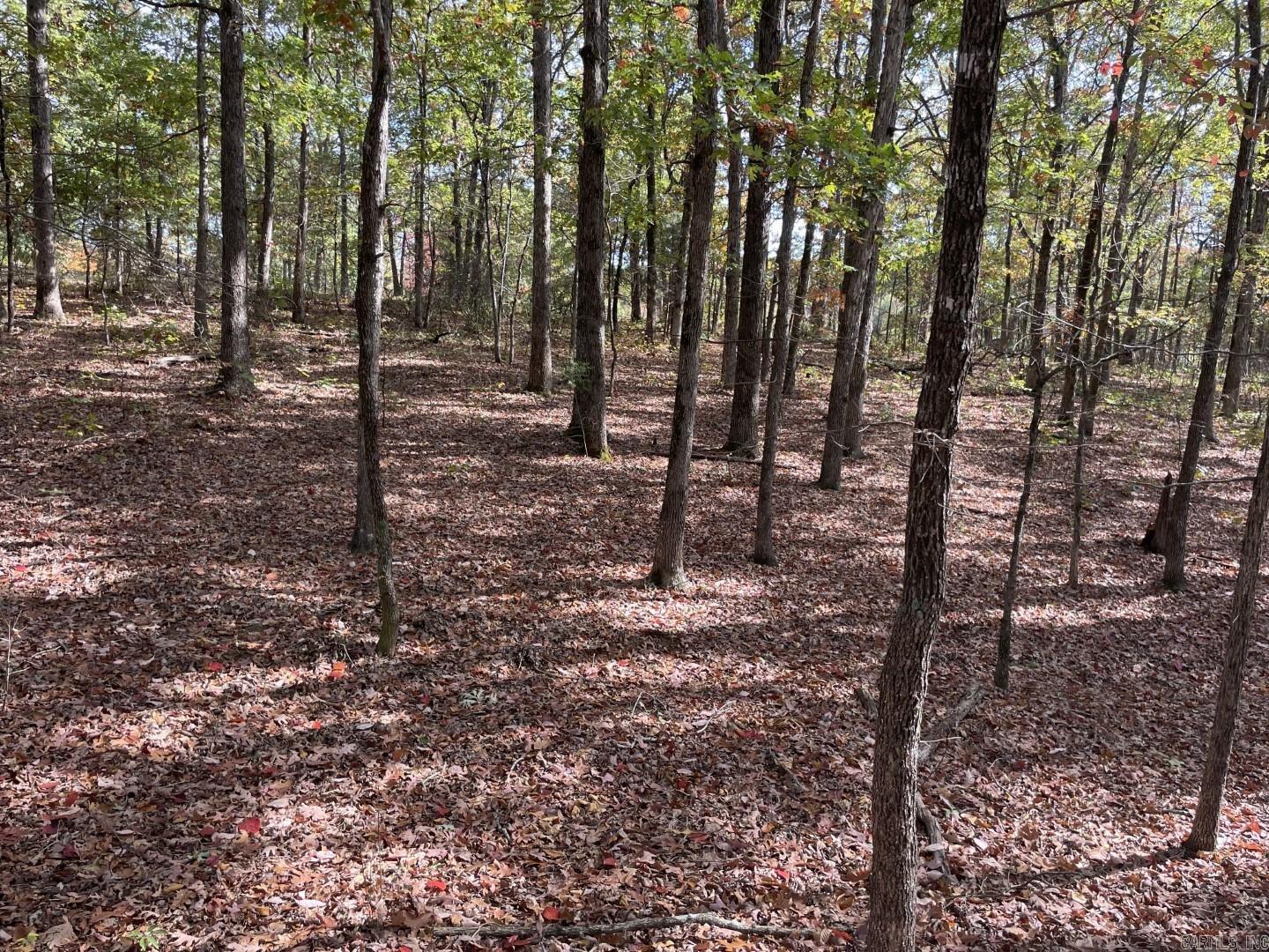 White Oak Forest Estates - Land