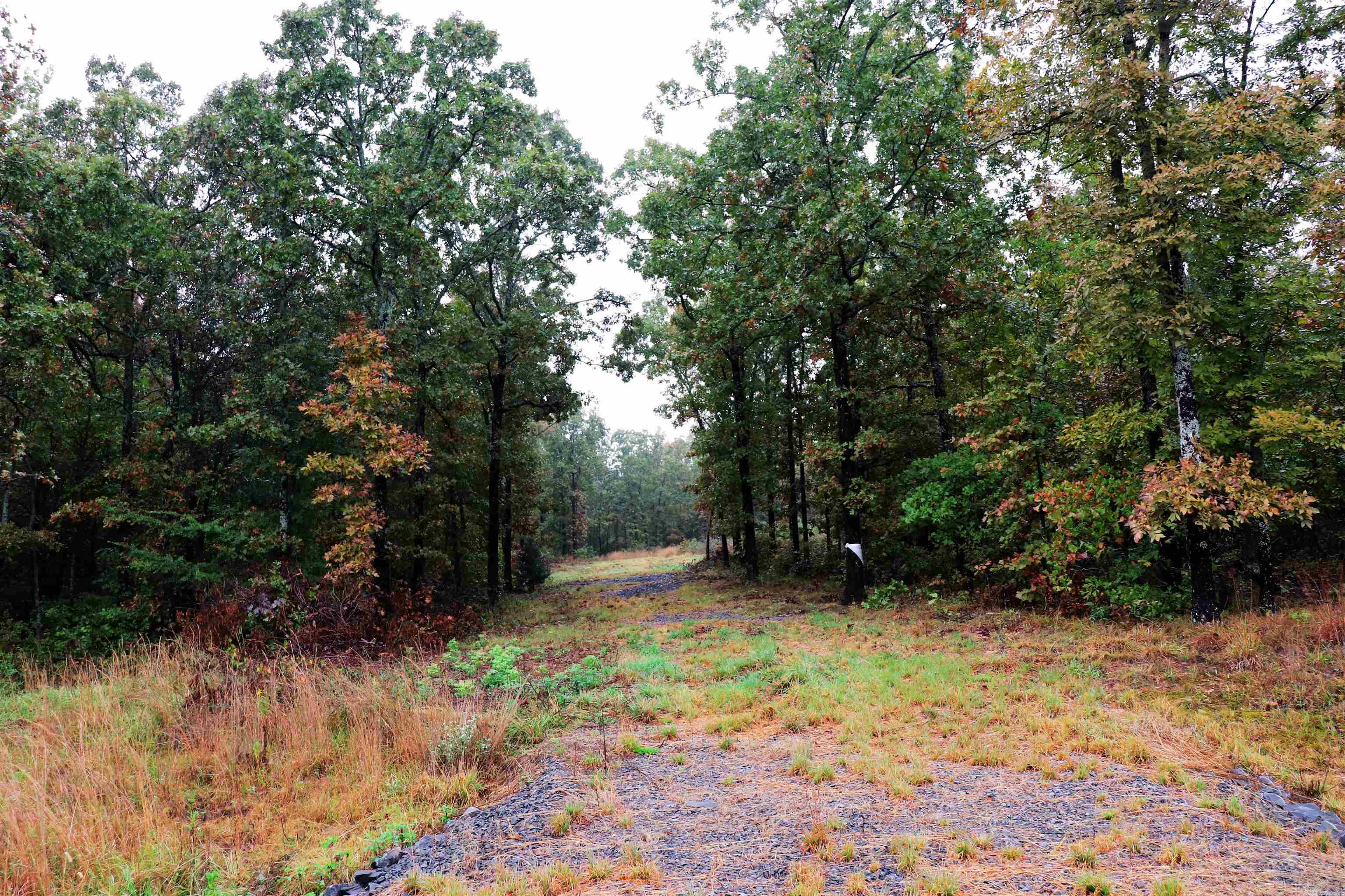 Calvary Estates - Land