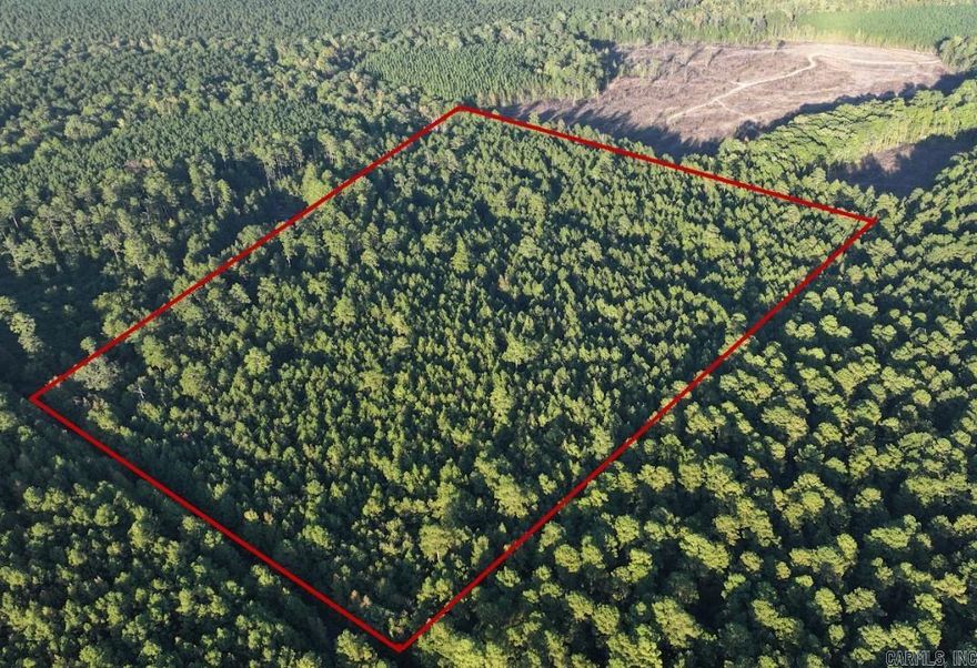 19.53 wooded acres in Grant County between Prattsville & Sheridan. Over 80% flat and buildable with over 700 ft. of paved  road frontage. Water and power nearby (southbound) along Grant 36. No flood zone. Mature pine timber offers privacy and excellent homesite potential for a custom home, homestead, or recreational retreat. Preliminary perc test passed for septic (10/30/25). Owner plans to subdivide by end of April 2026, take advantage of this rare opportunity now.