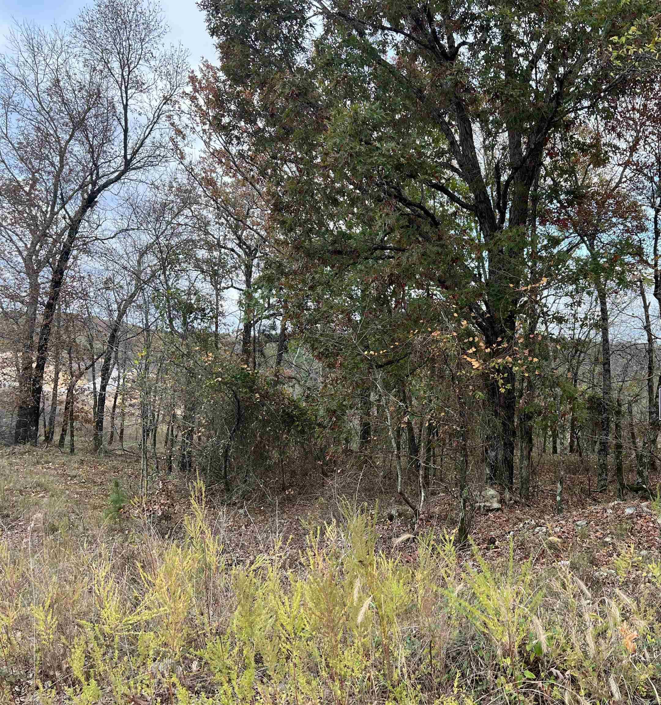 Not in Subdivision - Land