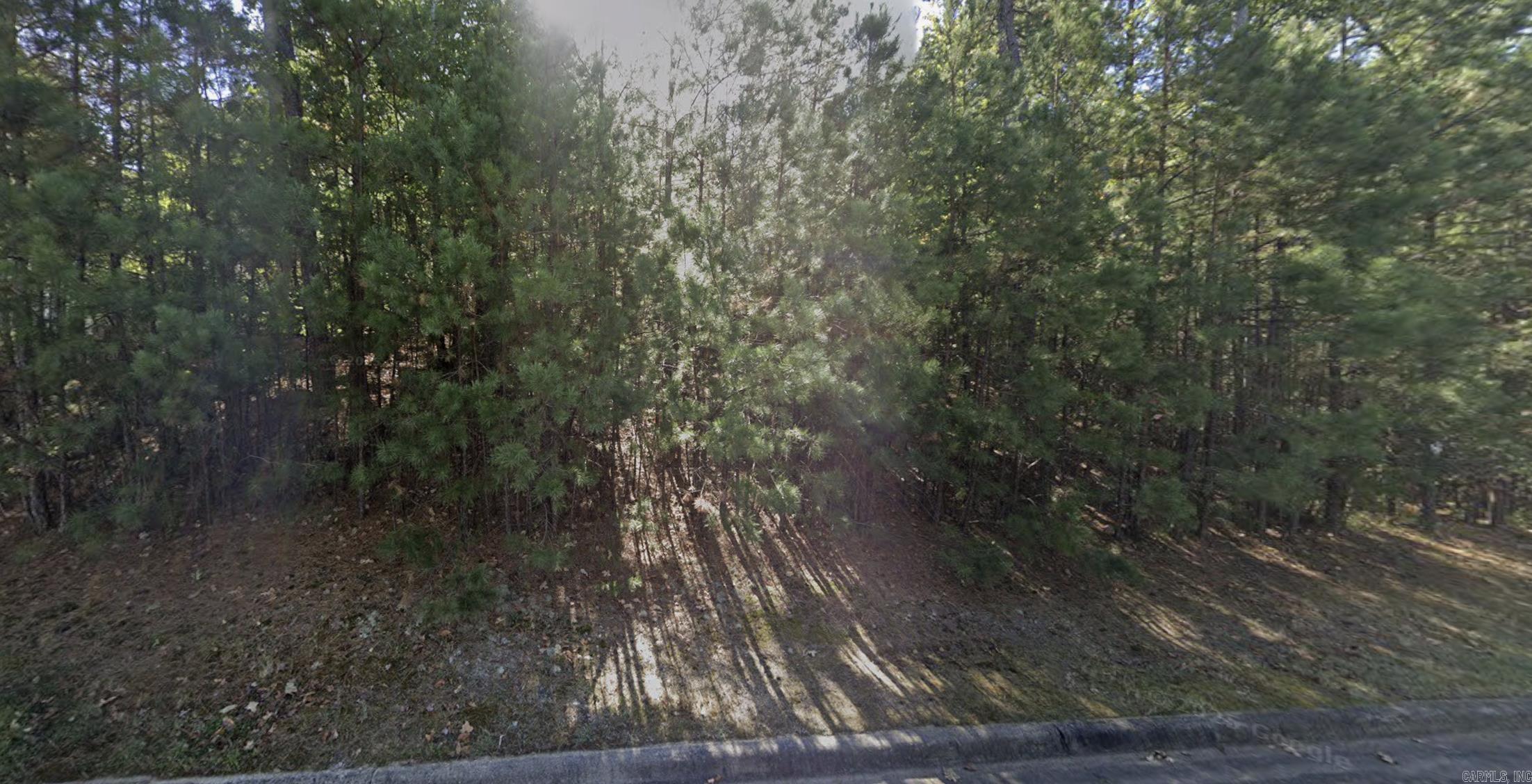 CHENAL VALLEY CHALAMONT PLACE - Land