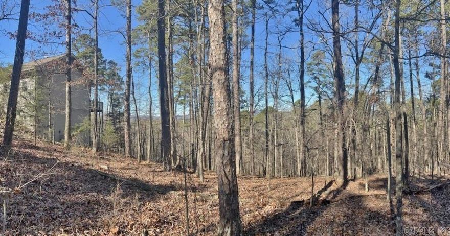 Ideal Mountain View home site for either a single level or two-story home with a walk-out lower level to enjoy the tranquil and fresh mountain view.  Ideally located  with additional privacy in the middle of Hot Springs Village near Cortez Golf Course, restaurants, walking trails and Lake Cortez. A $300 Buy-In fees will apply and be collected at closing for first time buyers in Hot Springs Village.