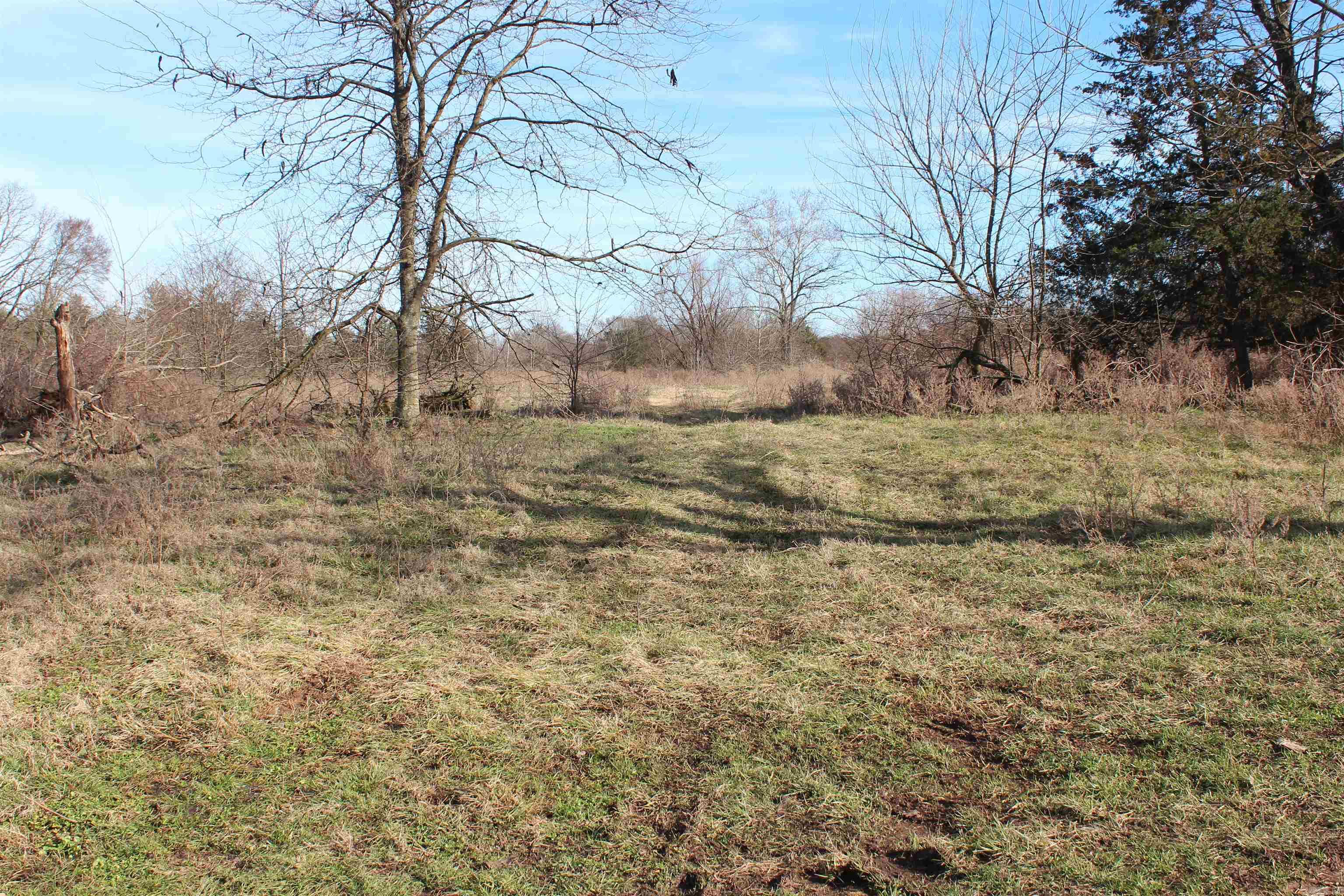 Not in Subdivision - Farm