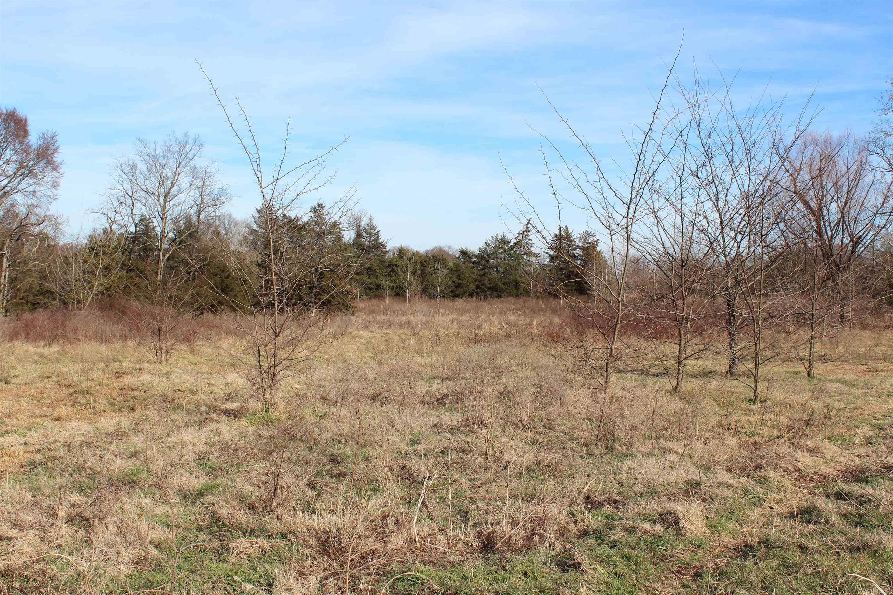 Not in Subdivision - Farm