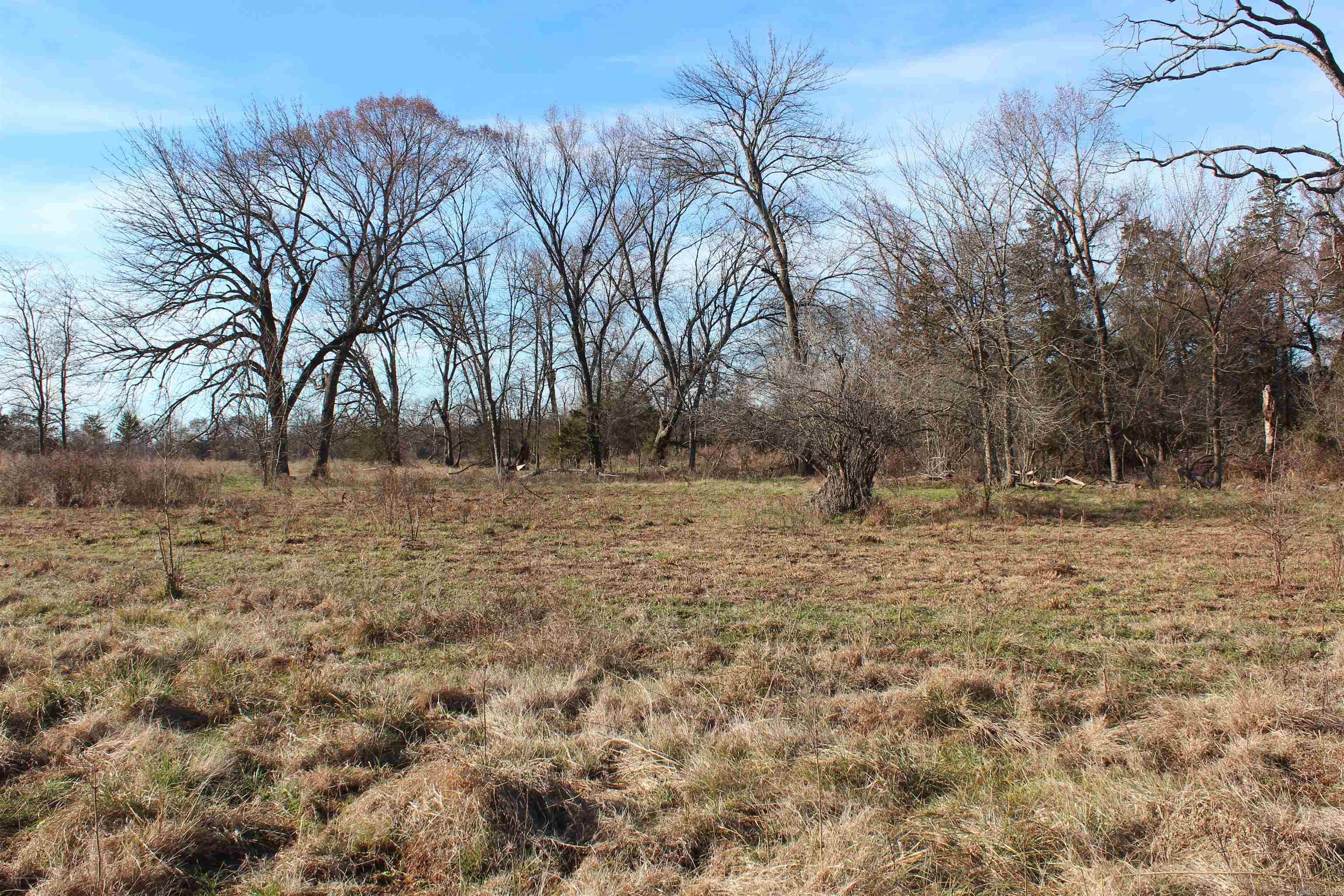 Not in Subdivision - Farm