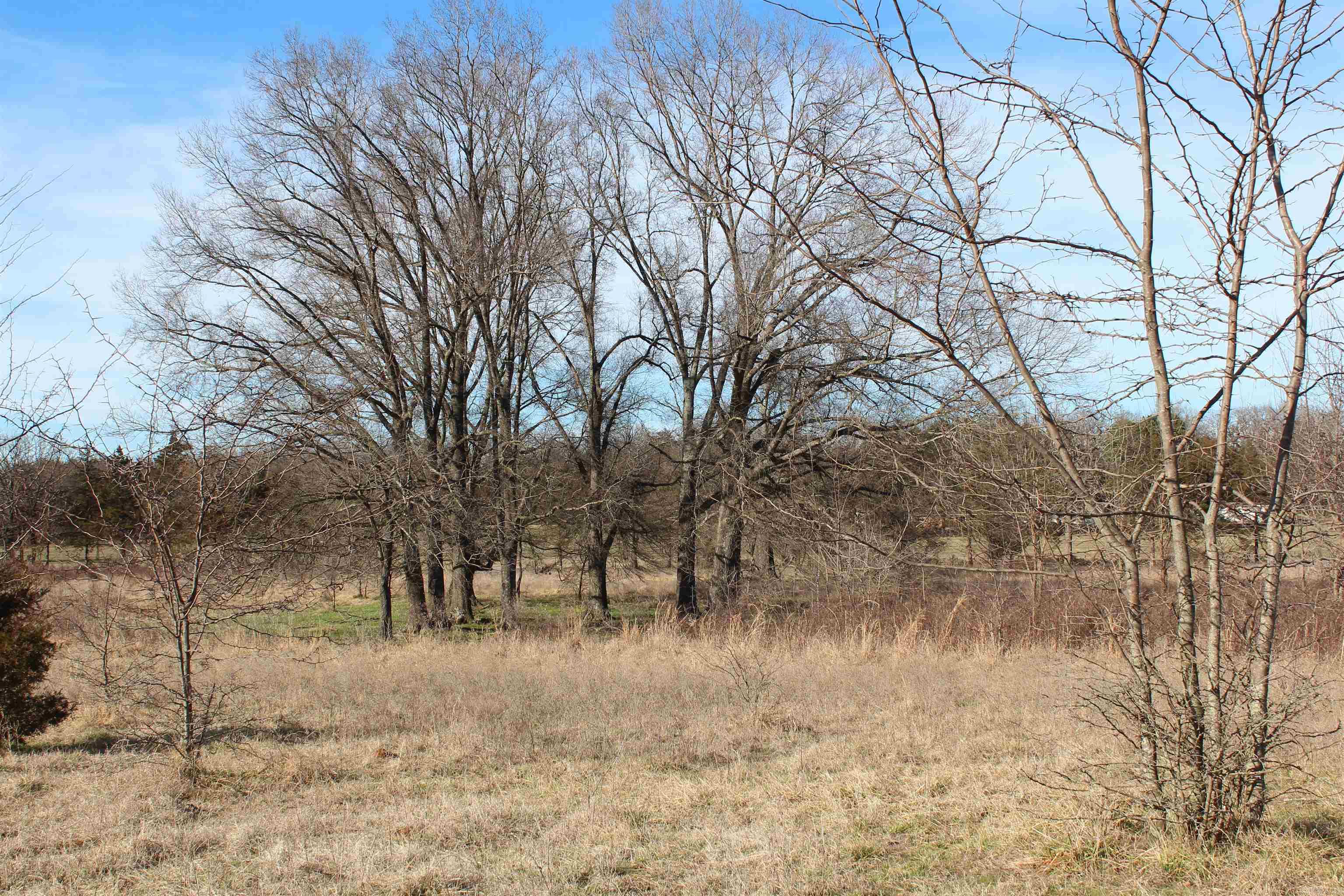 Not in Subdivision - Farm