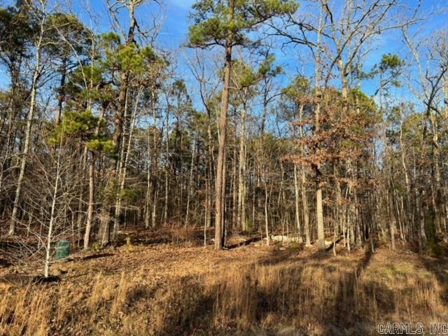 Primrose Creek Sayles - Land