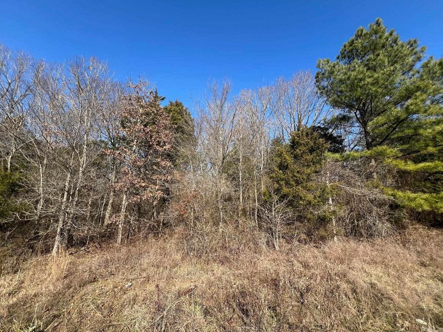3.12 acres +/- of flat wooded land for sale.   No Restrictions Seller will finance this property