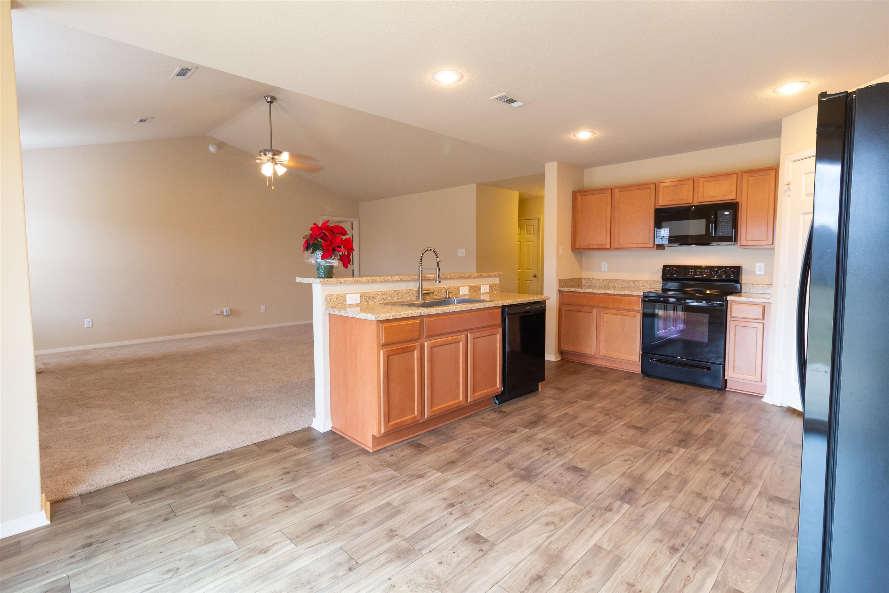 EMERALD MOUNTAIN - Residential