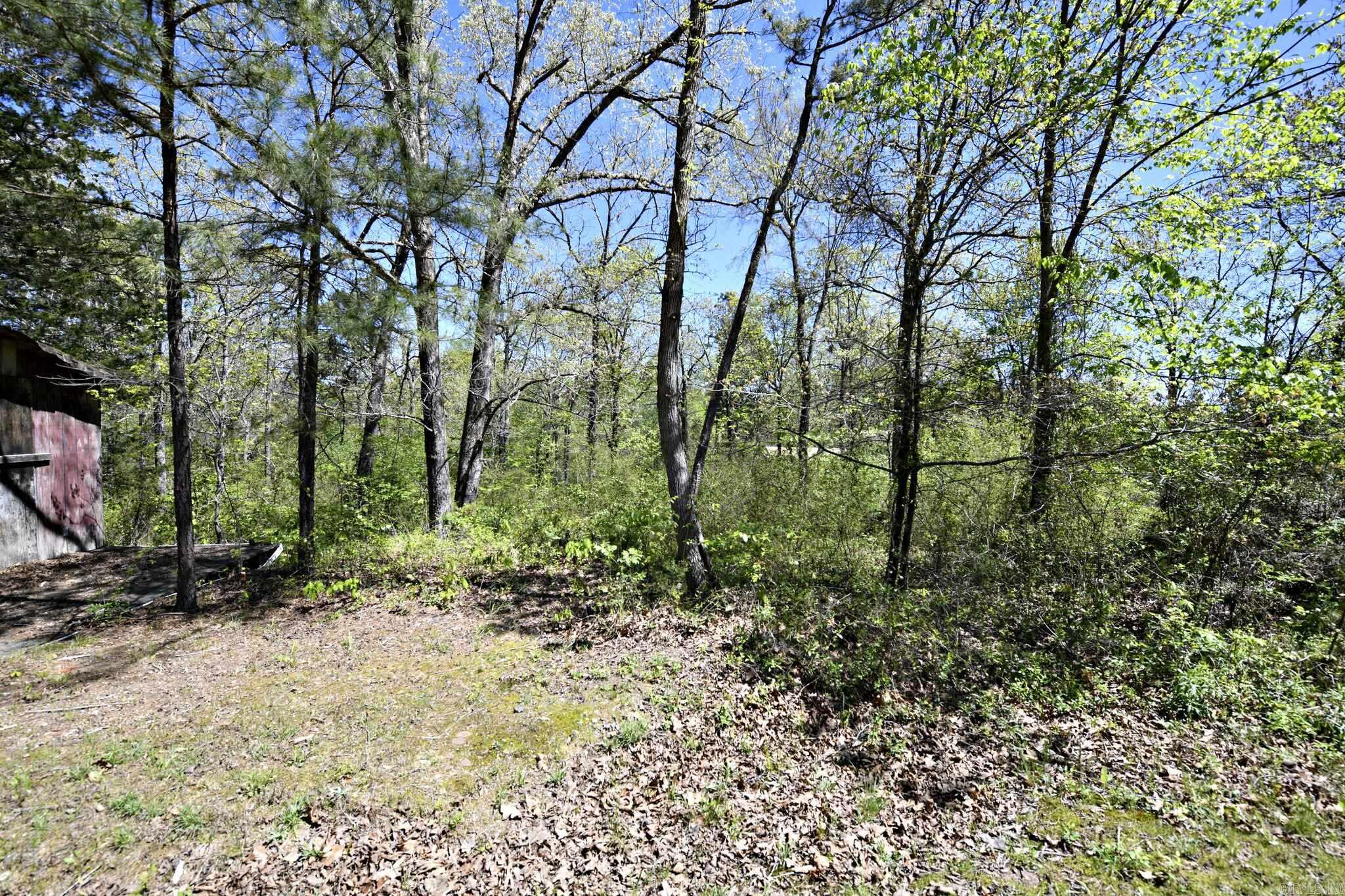 MARIA JONES - Residential