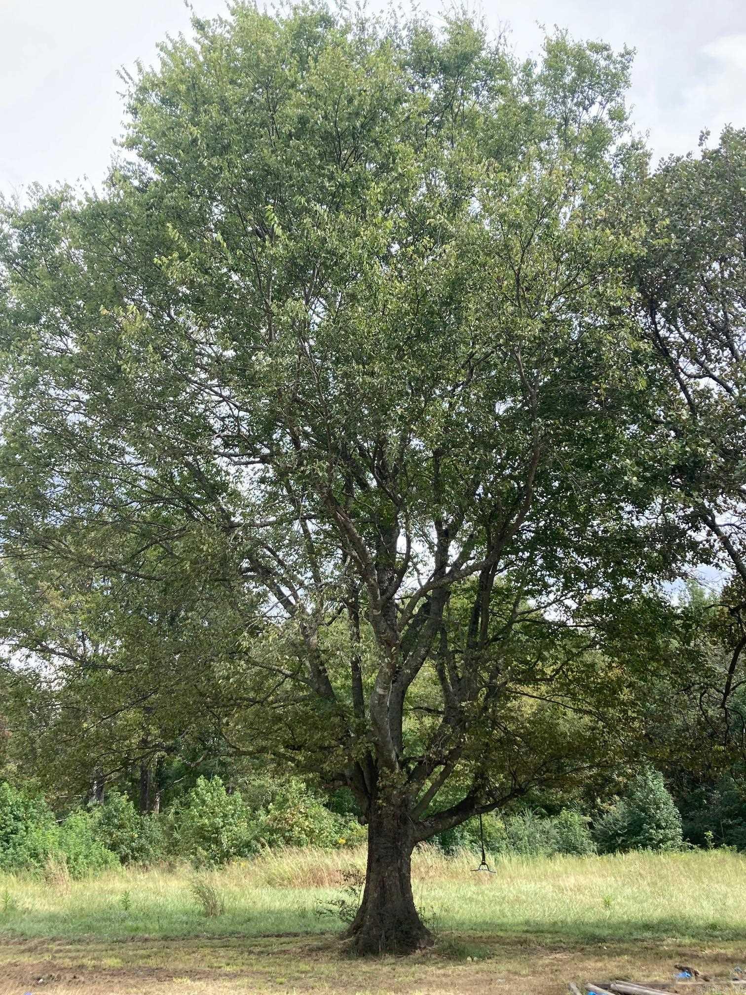 Ellen Acres - Residential