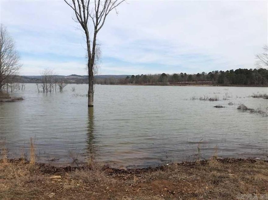 Lot 14 of Memory Lane Estates may be the most affordable lakeview and lake access lot along Greers Ferry Lake! City water and electricity on site. Paved road maintained by city. Every lot has passed a preliminary perc test for a septic system. Residents have access to lake by walkway. Imagine the convenience of being able to tie up your boat at the waters edge to allow your family to come aboard, or being able to go ashore to eat your lunch in your own home. Check out this amazing lot before it's gone!