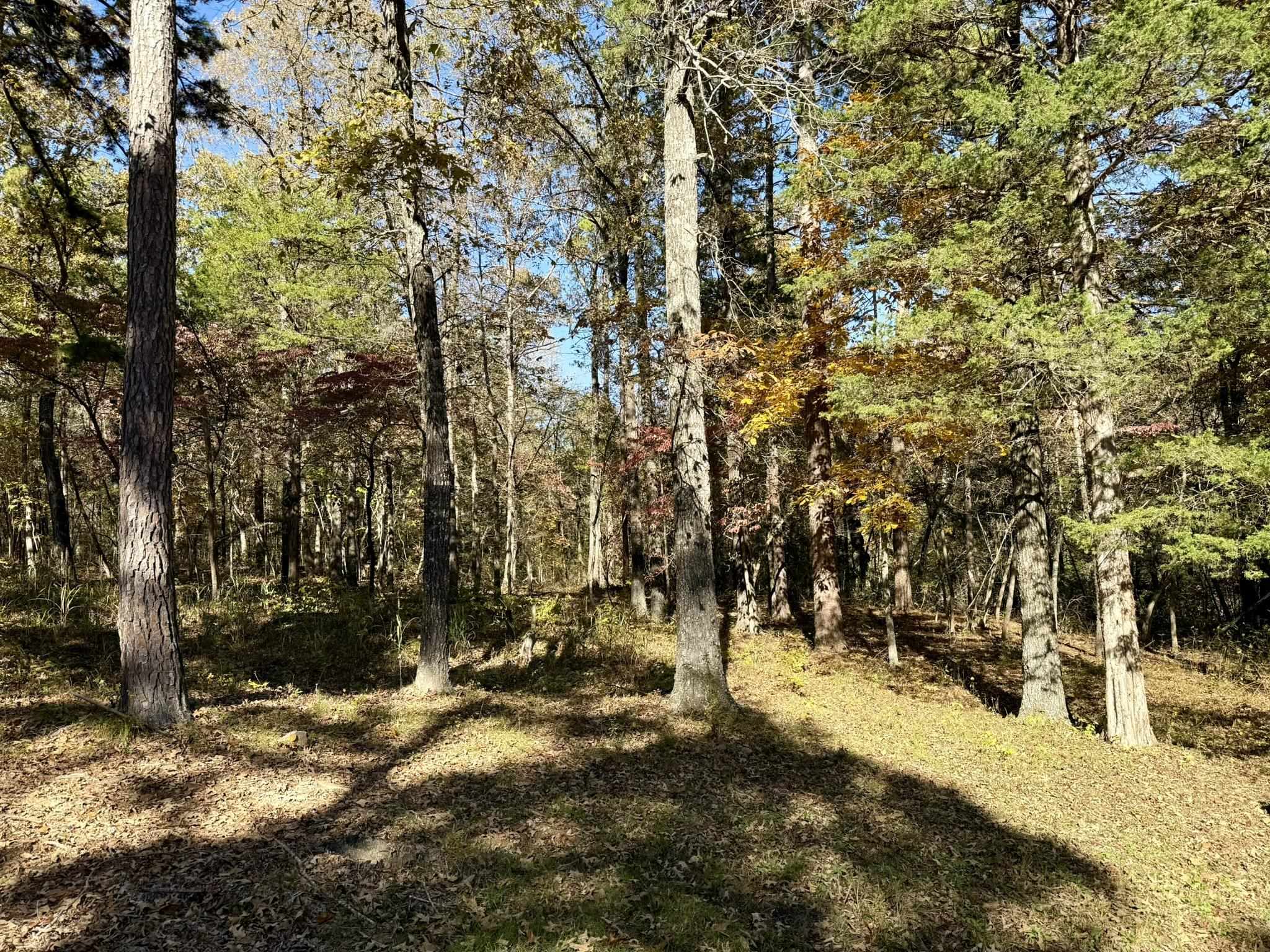 Whispering Oaks - Residential