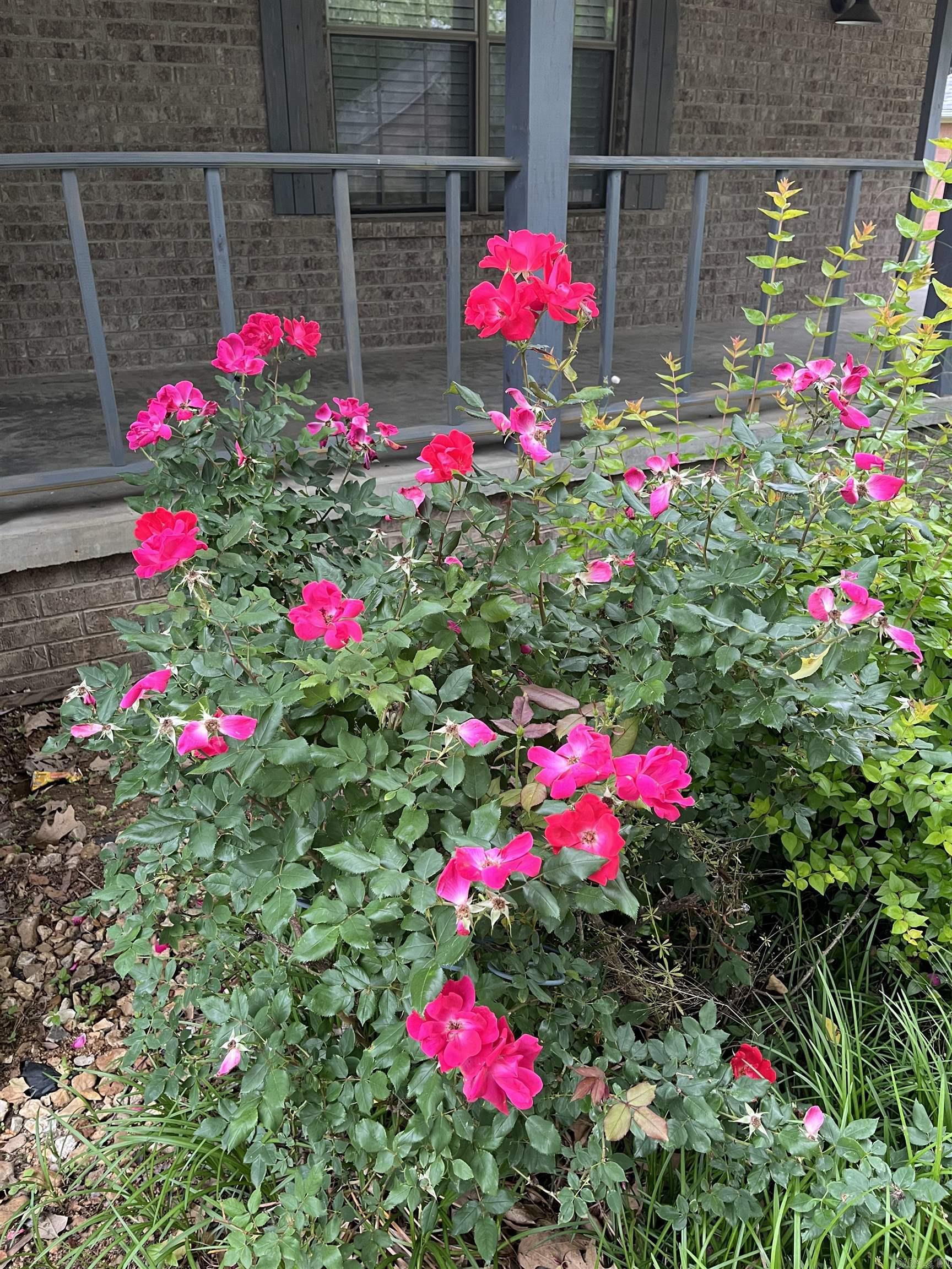 CARRIAGE HILL - Residential