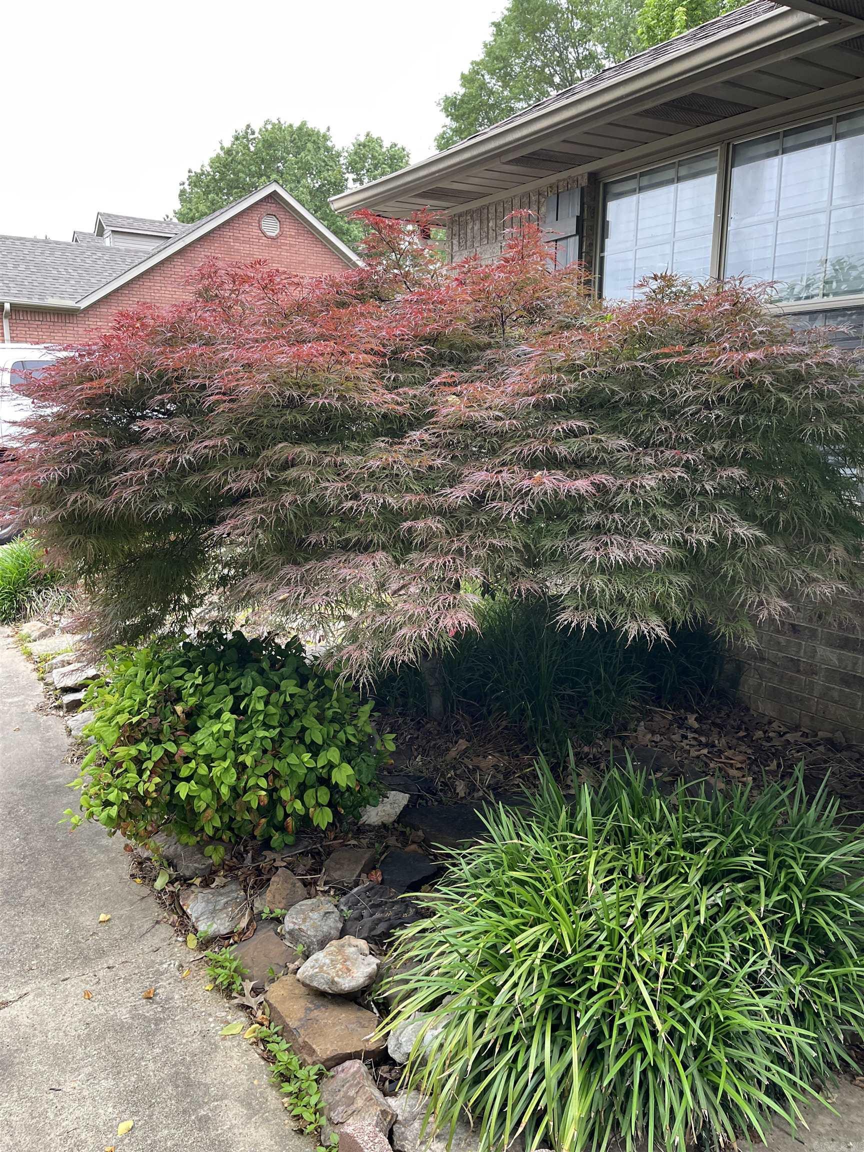 CARRIAGE HILL - Residential