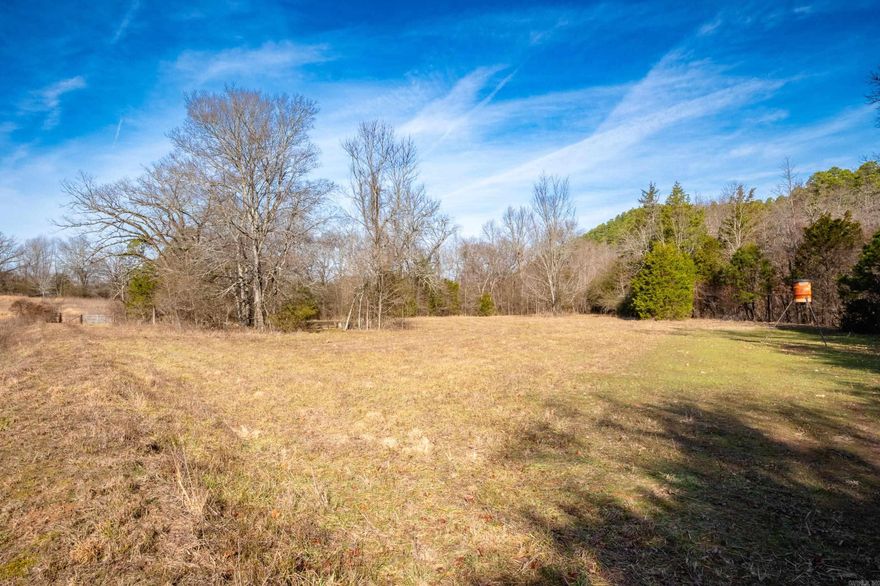 Incredible opportunity in Ferndale!  Gorgeous property with running creek, several home sites and plenty of room for hunting, camping or just enjoying nature!
