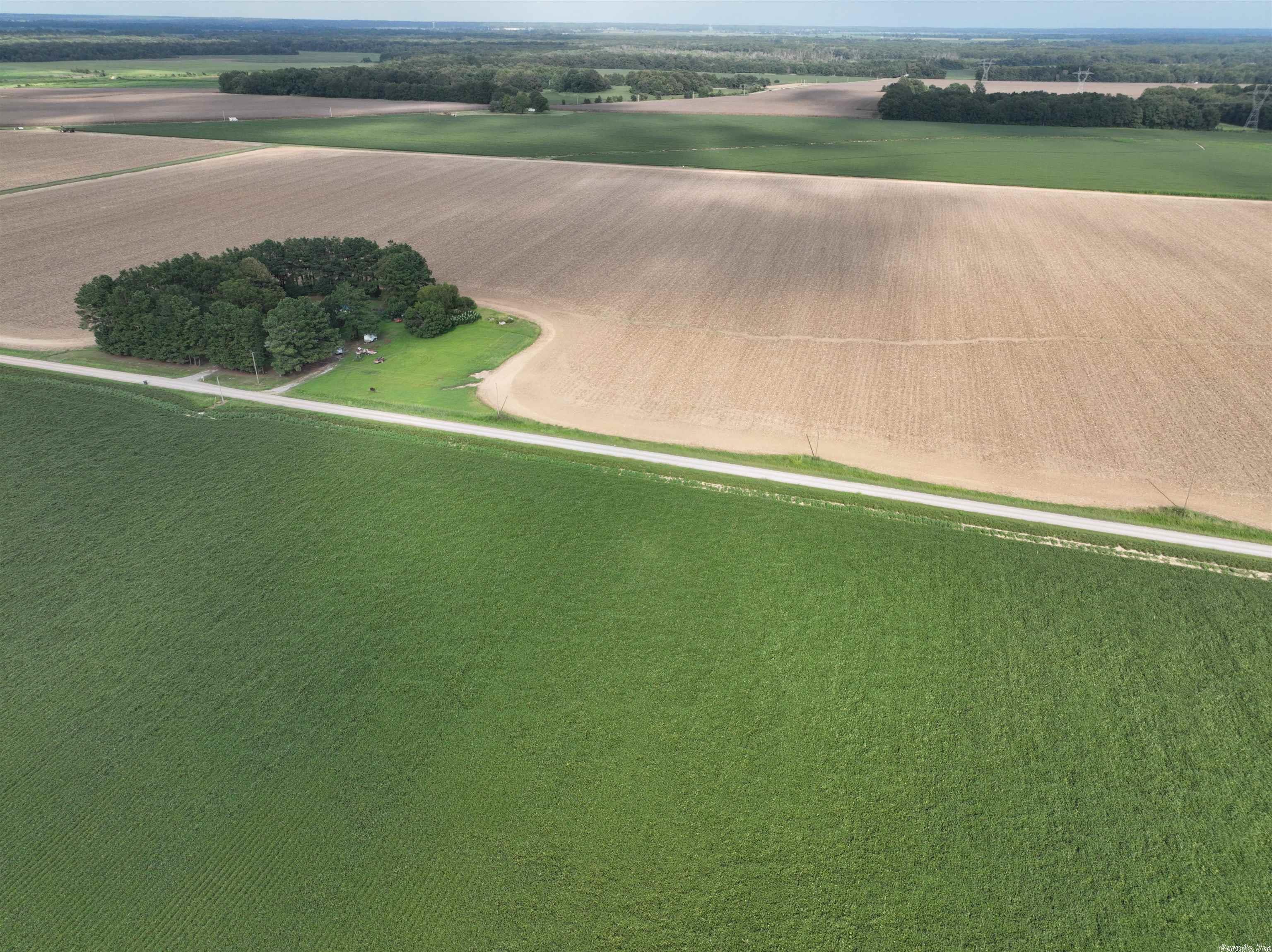 Farmland for sale South of Palestine in St. Francis County, AR containing 407 +/- acres of which 396 +/- is tillable. This property has multiple wells and all tillable land is irrigated.
