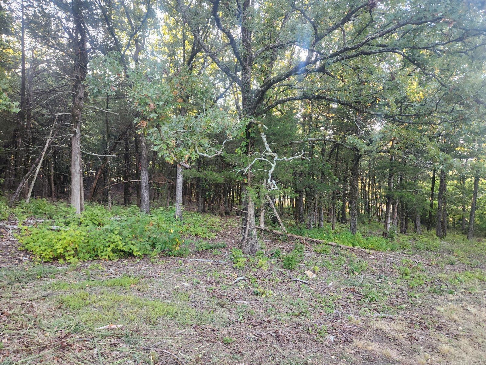 Beautiful building lot on top in the cul-de-sac. Potentail for amazing view. Restrictions in place to preserve your investment. Underground utilities at property. Fiber optic going in soon.