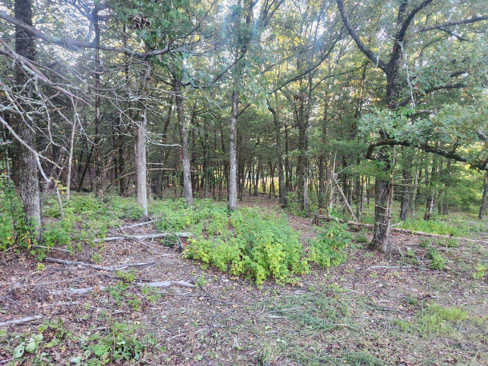 INDIAN KNOB S/D-SOUTH - Land
