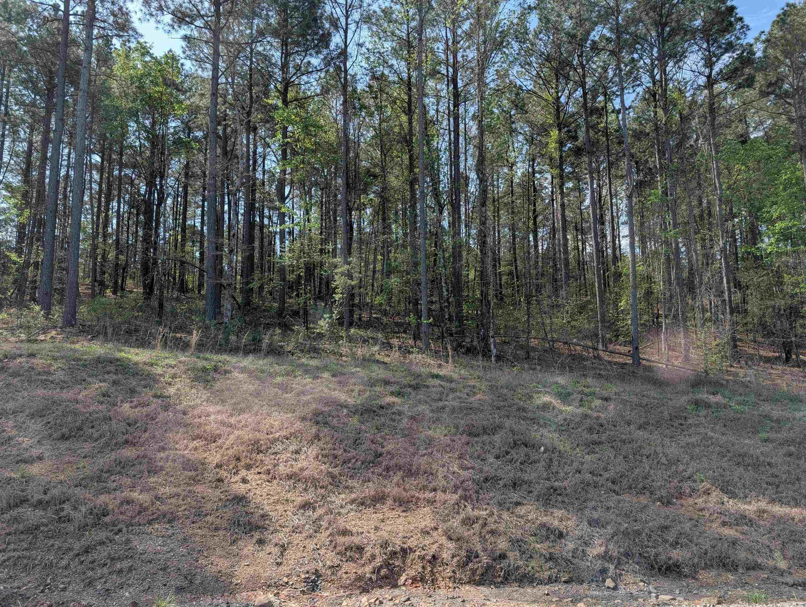 Not in Subdivision - Land