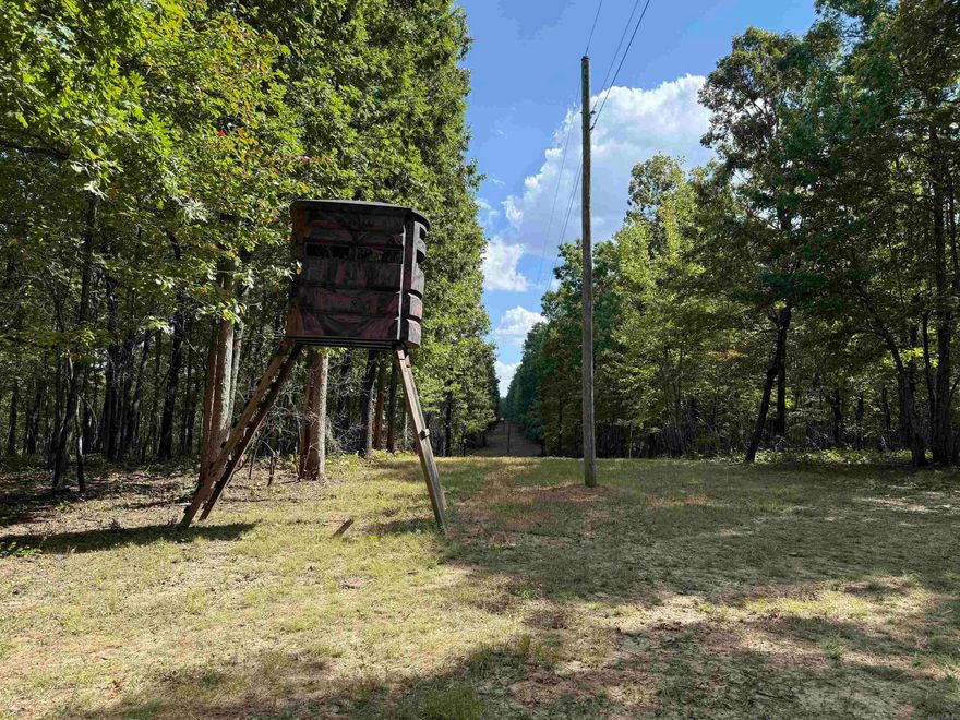 36.21 +/- surveyed acres located in beautiful Searcy County, Arkansas. This property offers a great mix of gently sloped terrain and wooded areas, providing multiple building sites or spots to clear for livestock. Power and high-speed fiber internet are available, making it easy to stay connected while enjoying country living. The land features springs, bluffs, caves, and a nice trail system throughout the property. A tower blind and deer feeder convey with the sale, making it ready for hunting and recreation. This is one of the cleanest and best-kept unimproved tracts youāll find in the Ozarks ā perfect for your cabin retreat, small farm, or outdoor getaway.