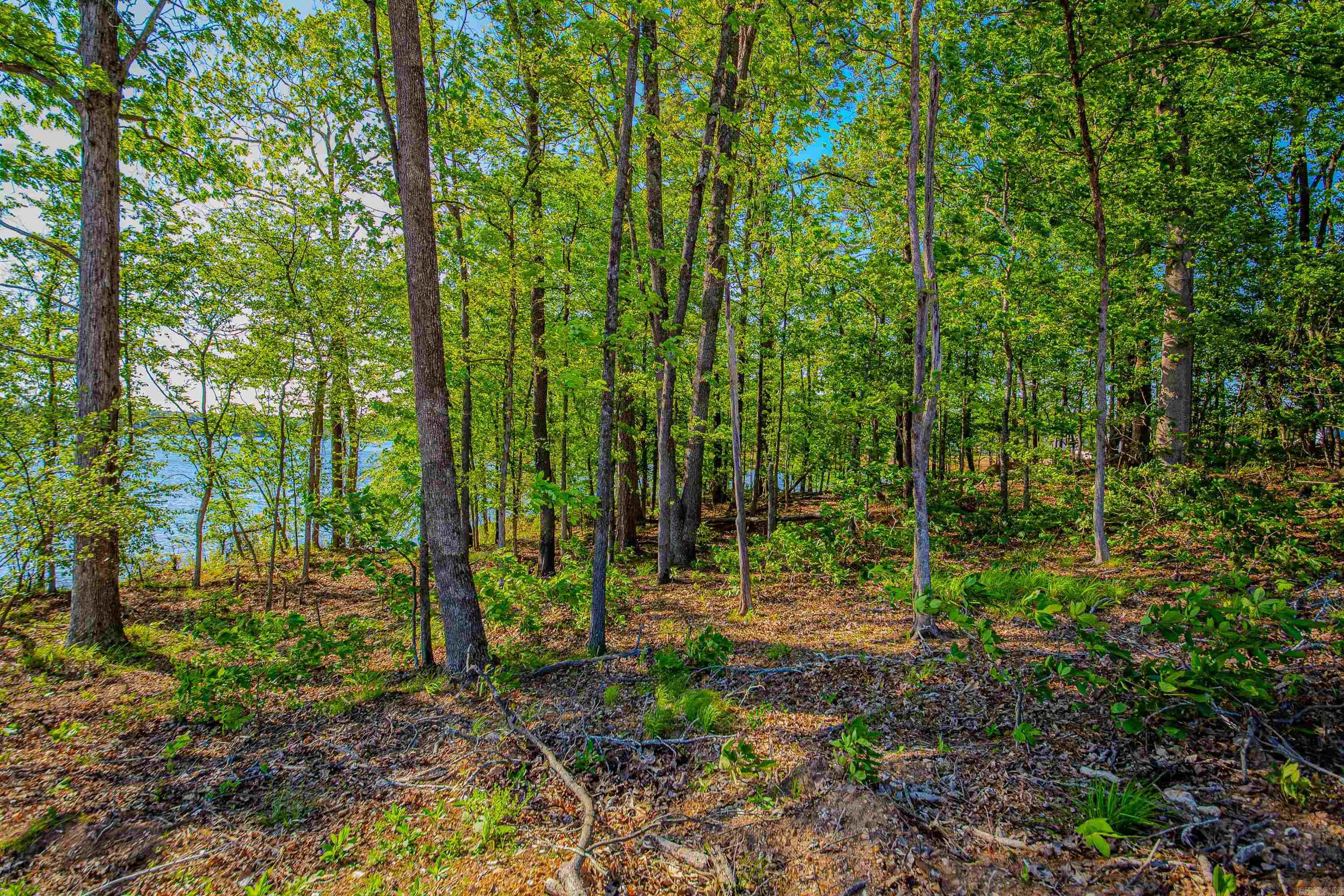 THE POINTE HURRICANE ESTATES - Land