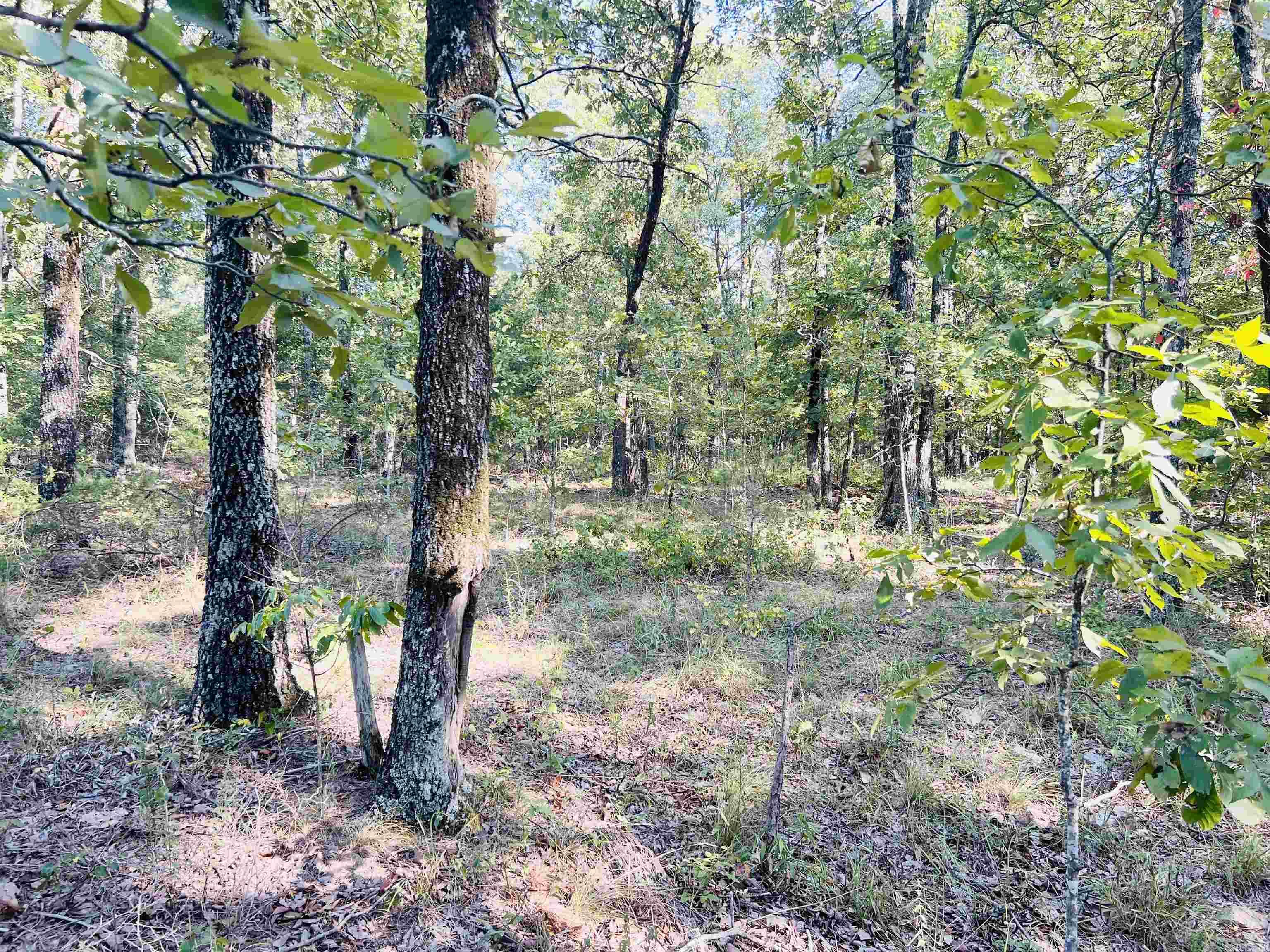 Metes & Bounds - Land