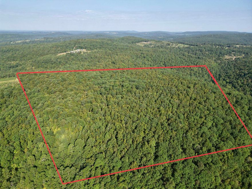 40 secluded acres in Stone County! This property is all wooded with excellent hunting opportunities! Great place to build an off grid cabin and be secluded! Located close to Downtown Mountain View and the White River.