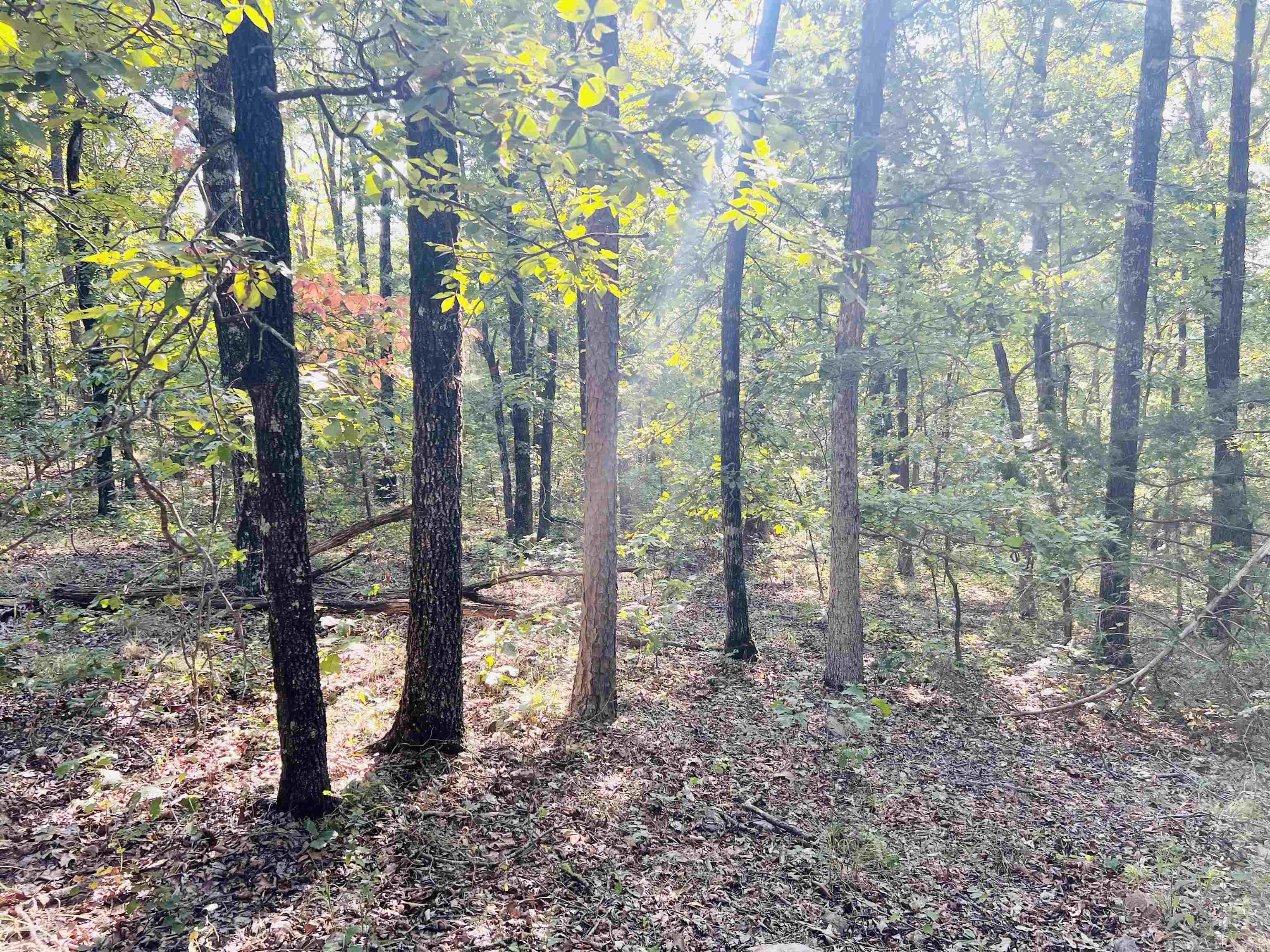 Metes & Bounds - Land