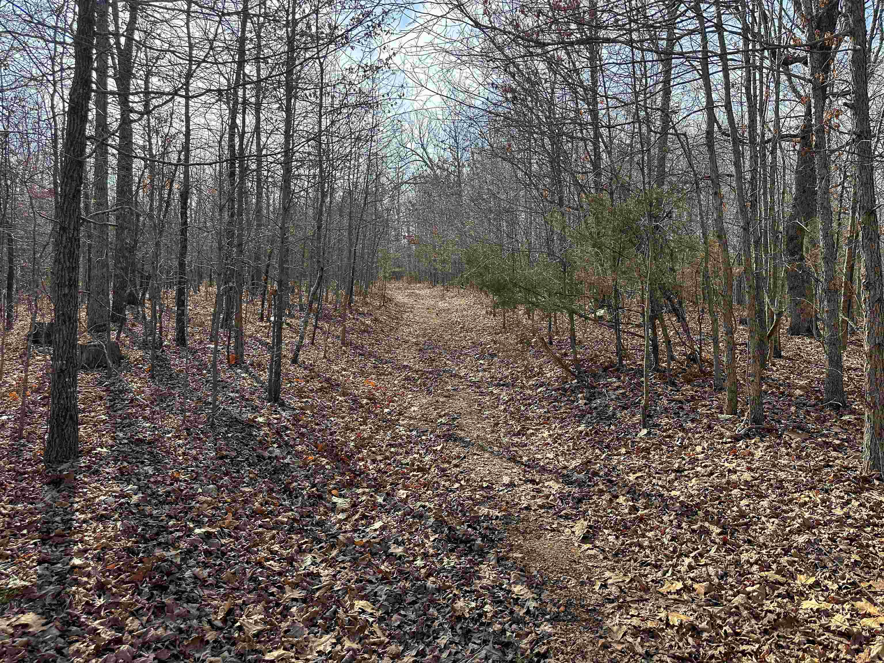 Metes & Bounds - Land