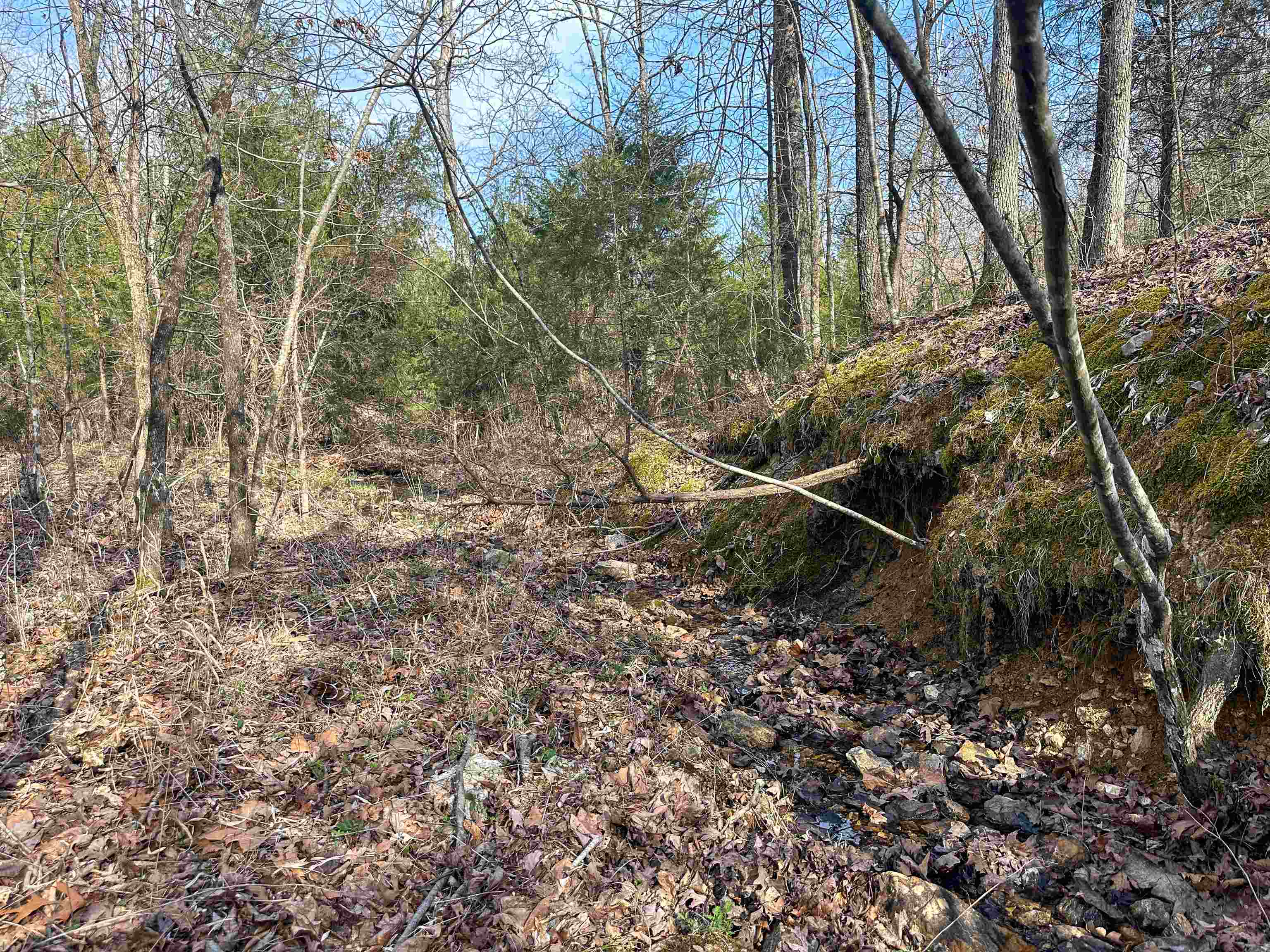 Metes & Bounds - Land