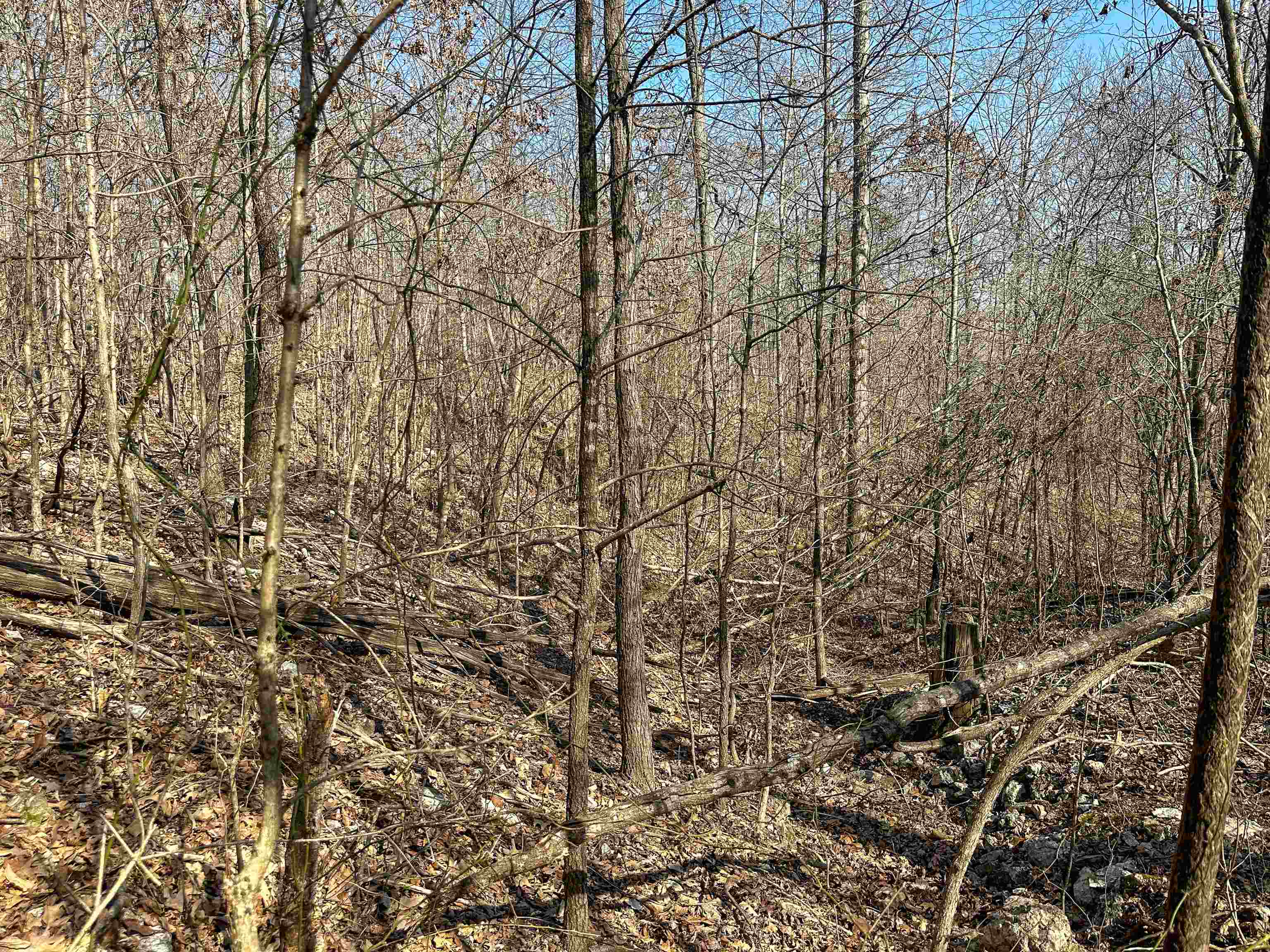 Metes & Bounds - Land