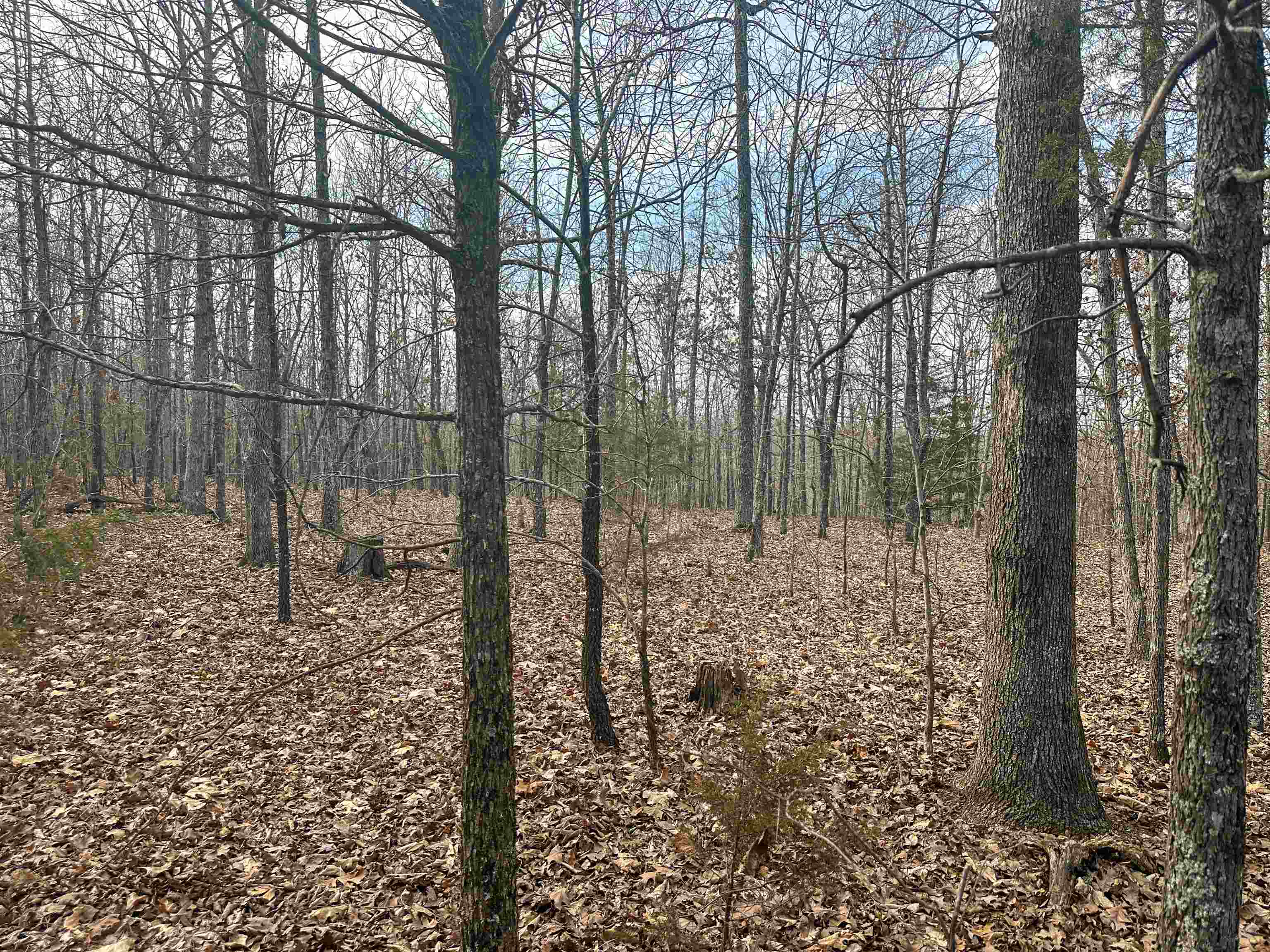 Metes & Bounds - Land