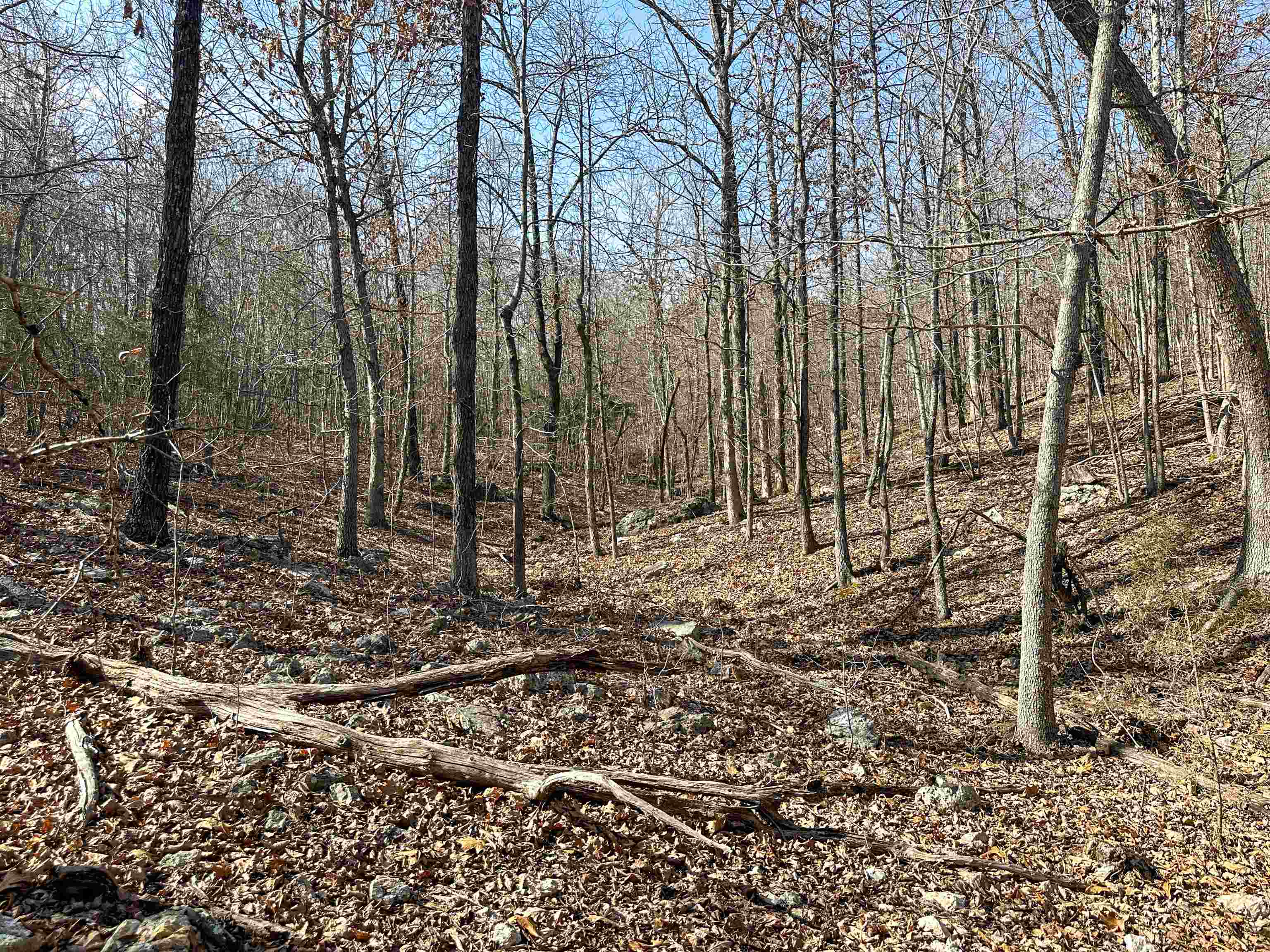 Metes & Bounds - Land