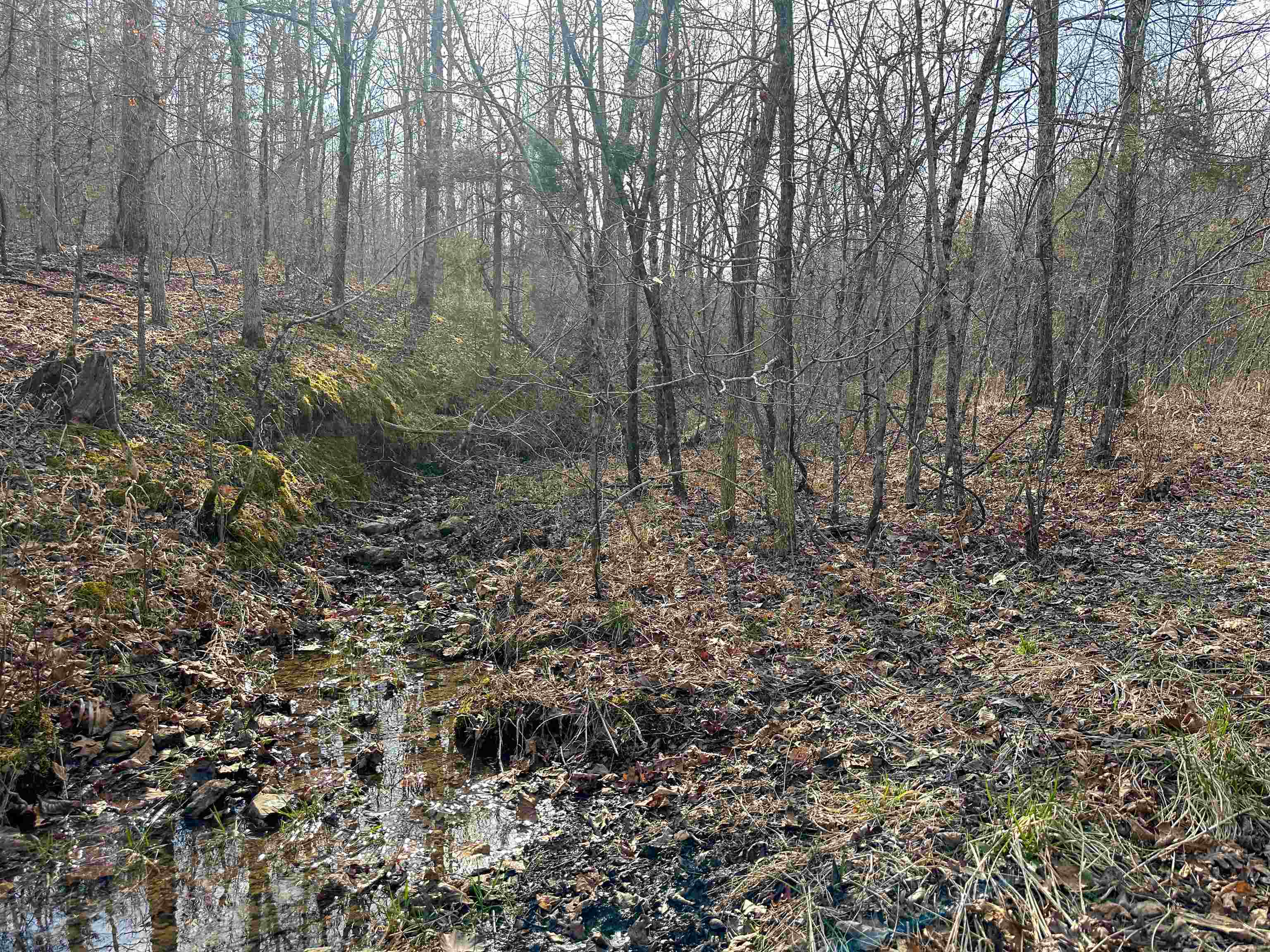 Metes & Bounds - Land