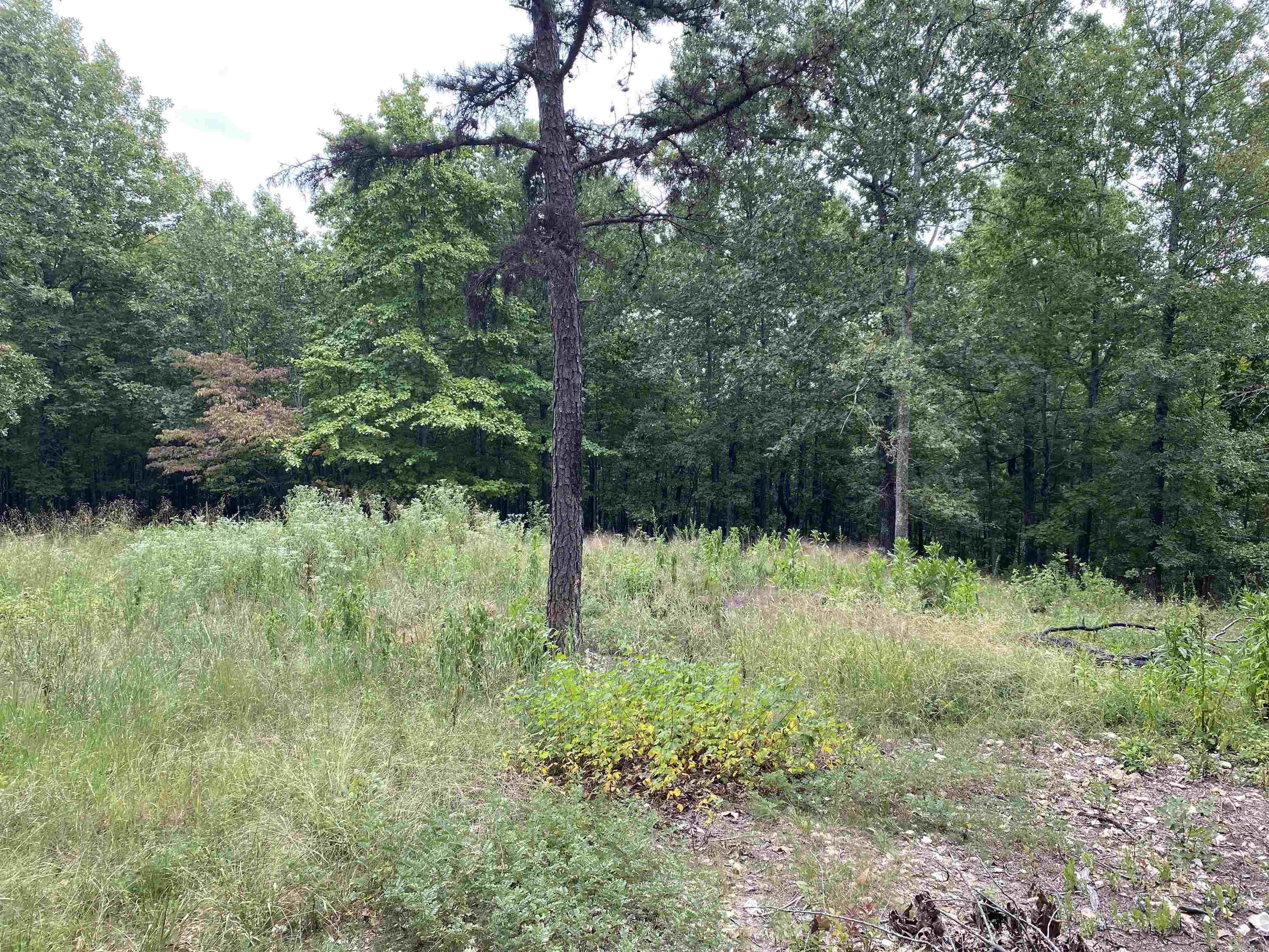 Not in Subdivision - Land